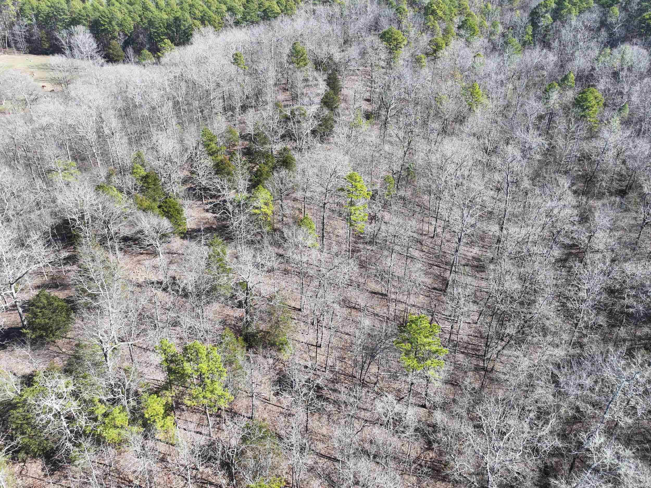 000 Cavanaugh Road Property Photo 3