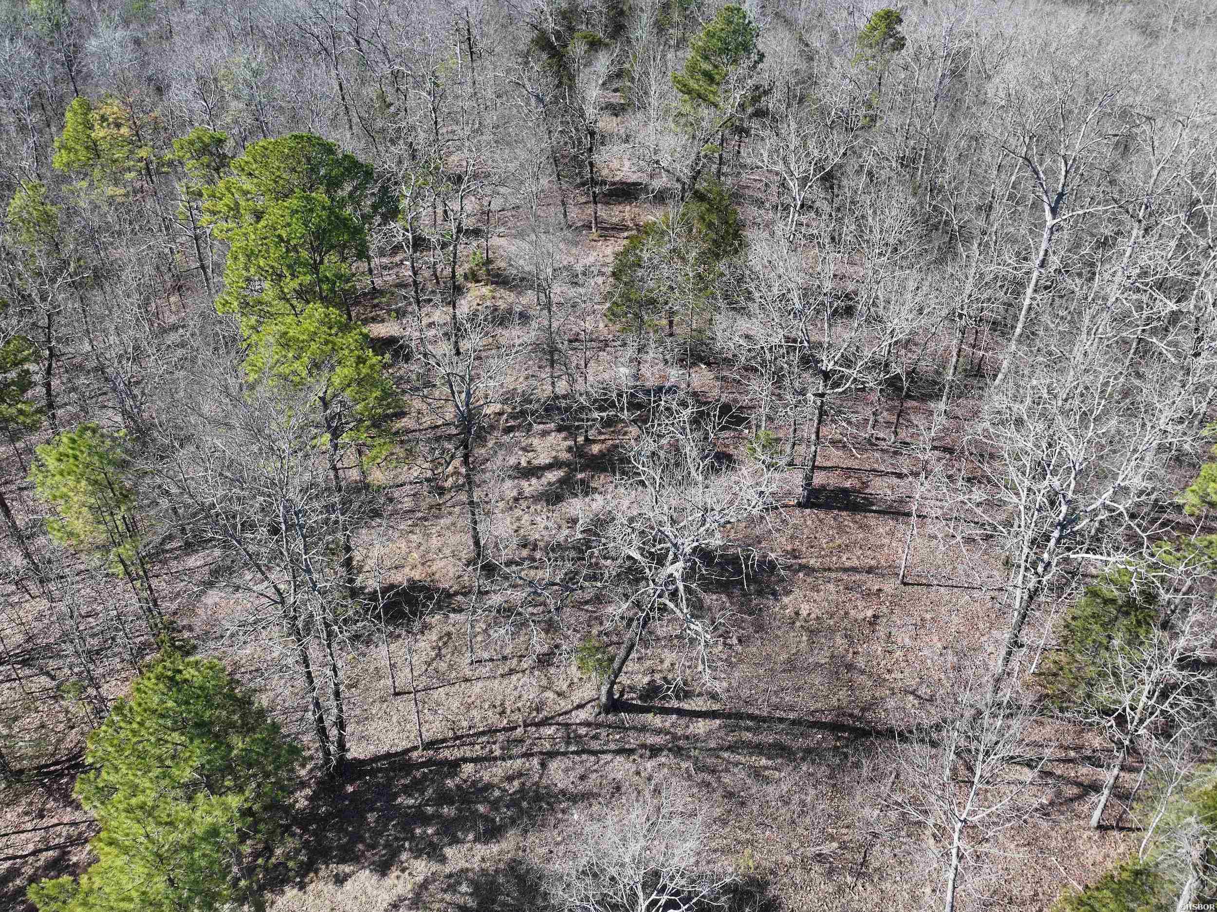 000 Cavanaugh Road Property Photo 6