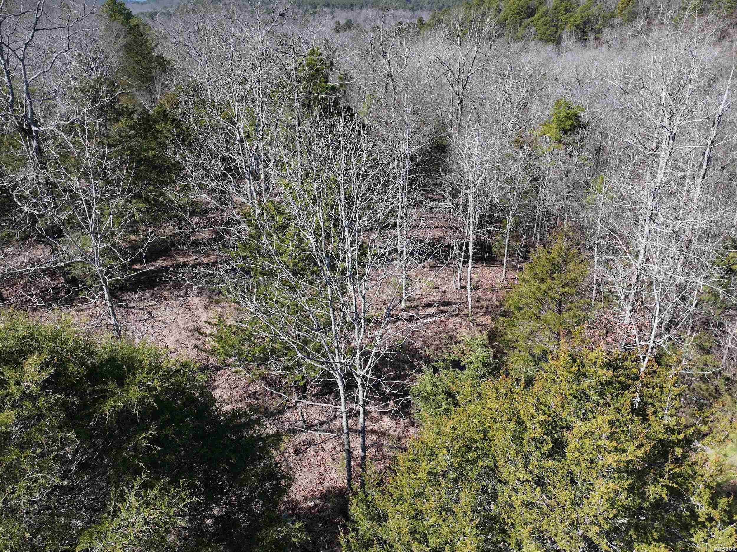 000 Cavanaugh Road Property Photo 10