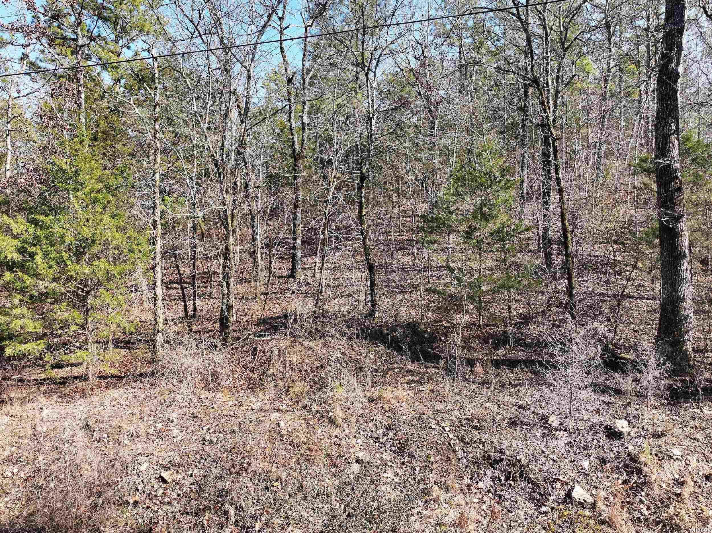 000 Cavanaugh Road Property Photo 15
