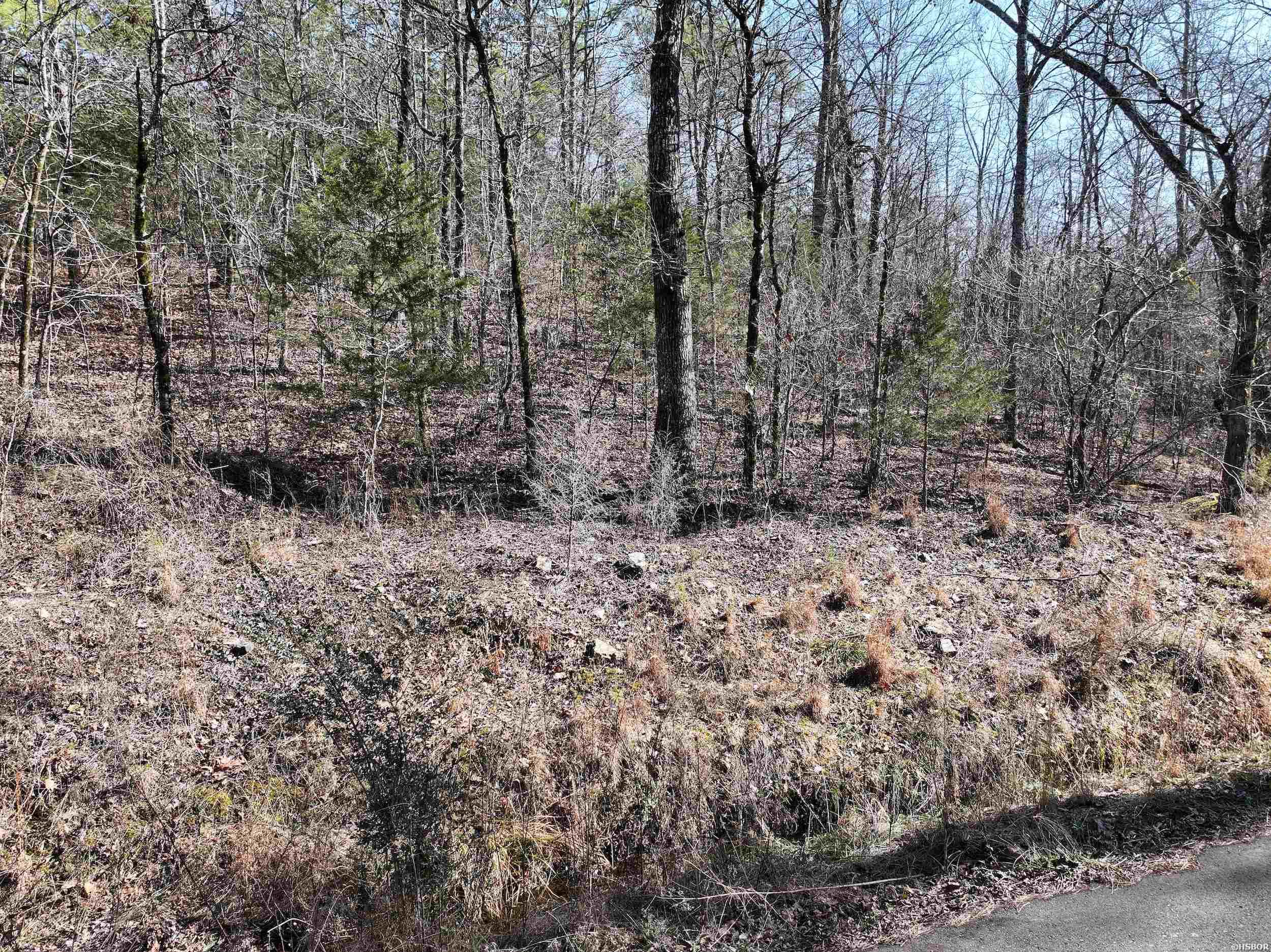 000 Cavanaugh Road Property Photo 20