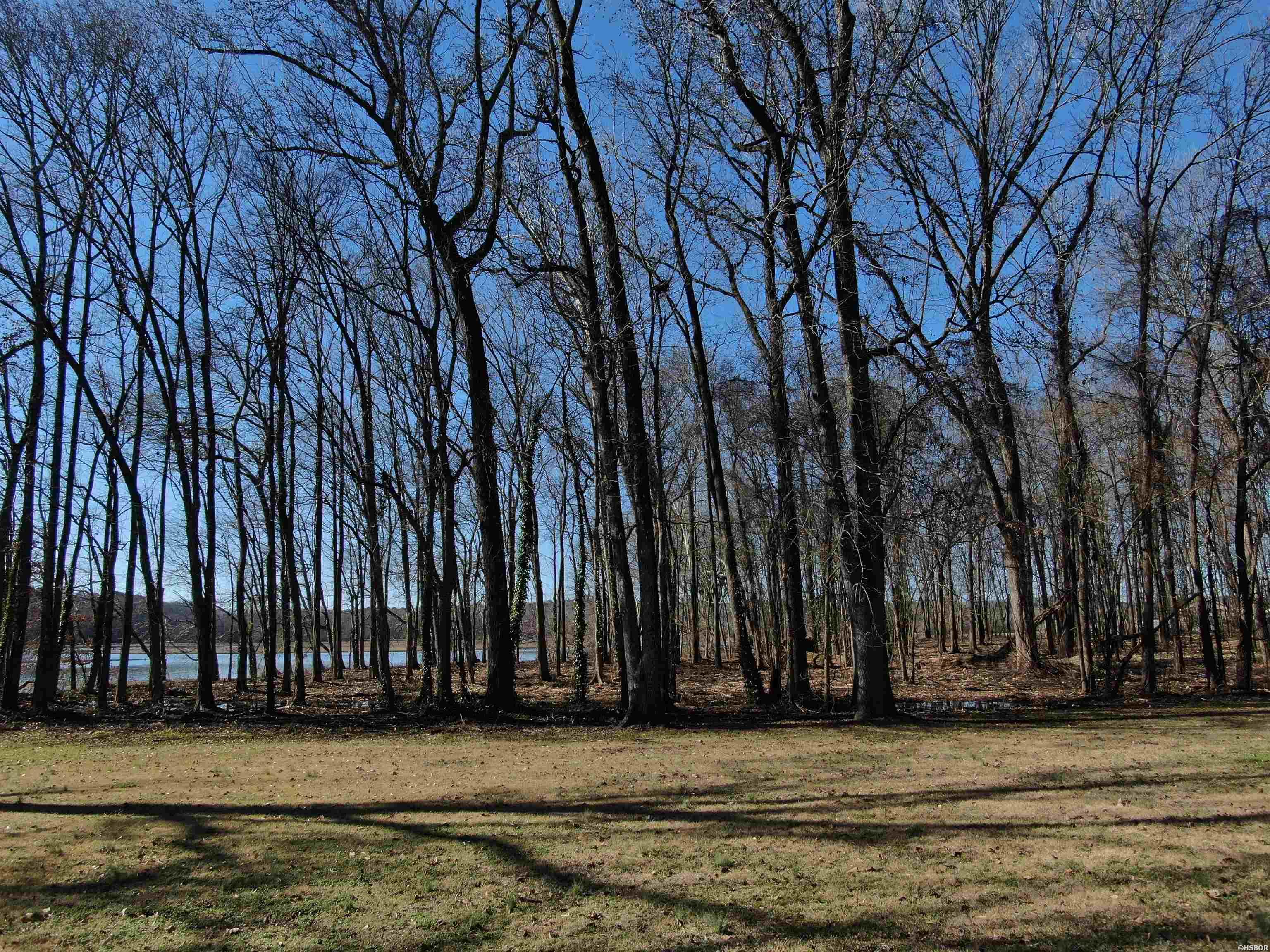 Xxx Rivermist Point Property Photo 5