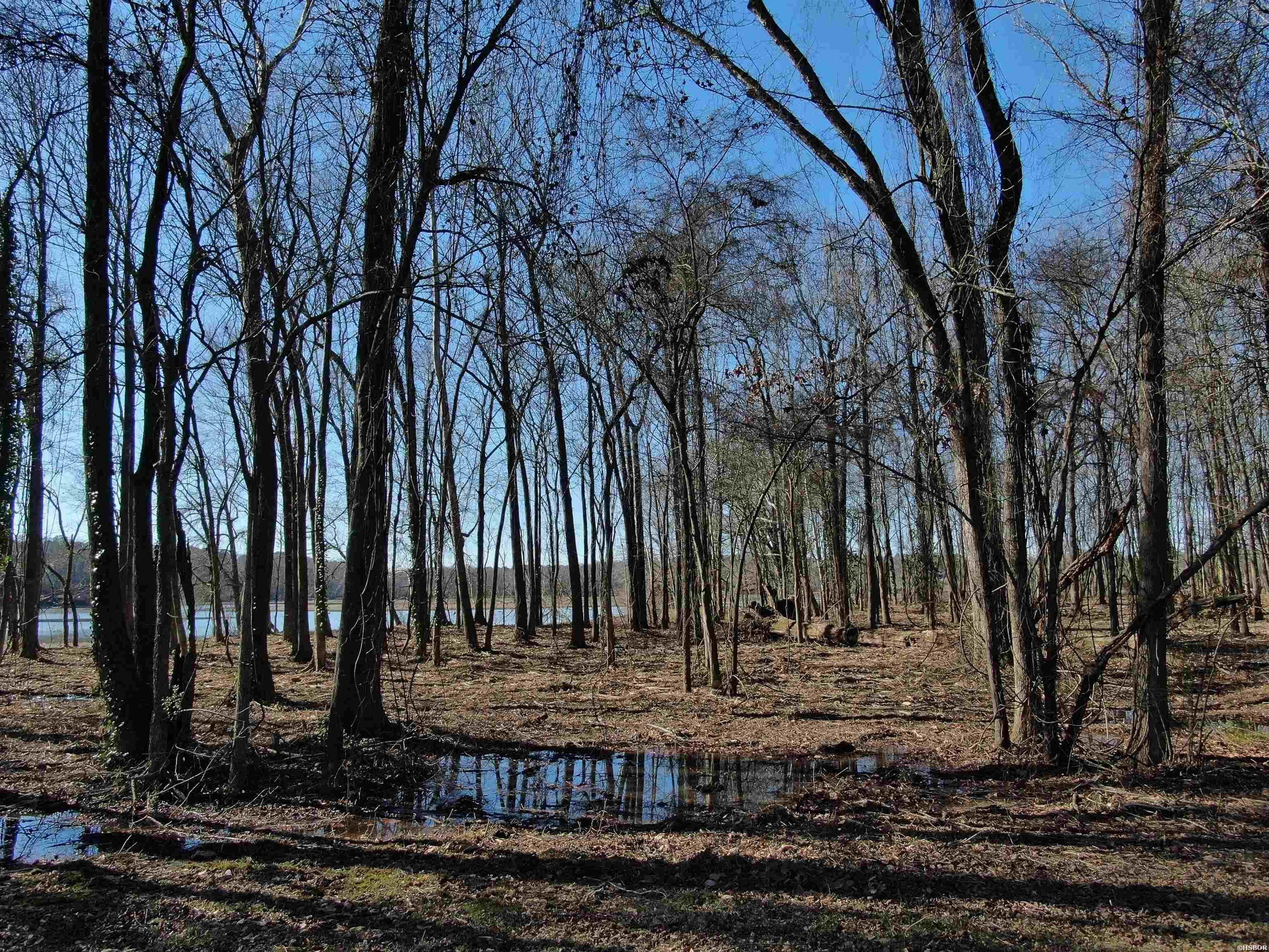 Xxx Rivermist Point Property Photo 6
