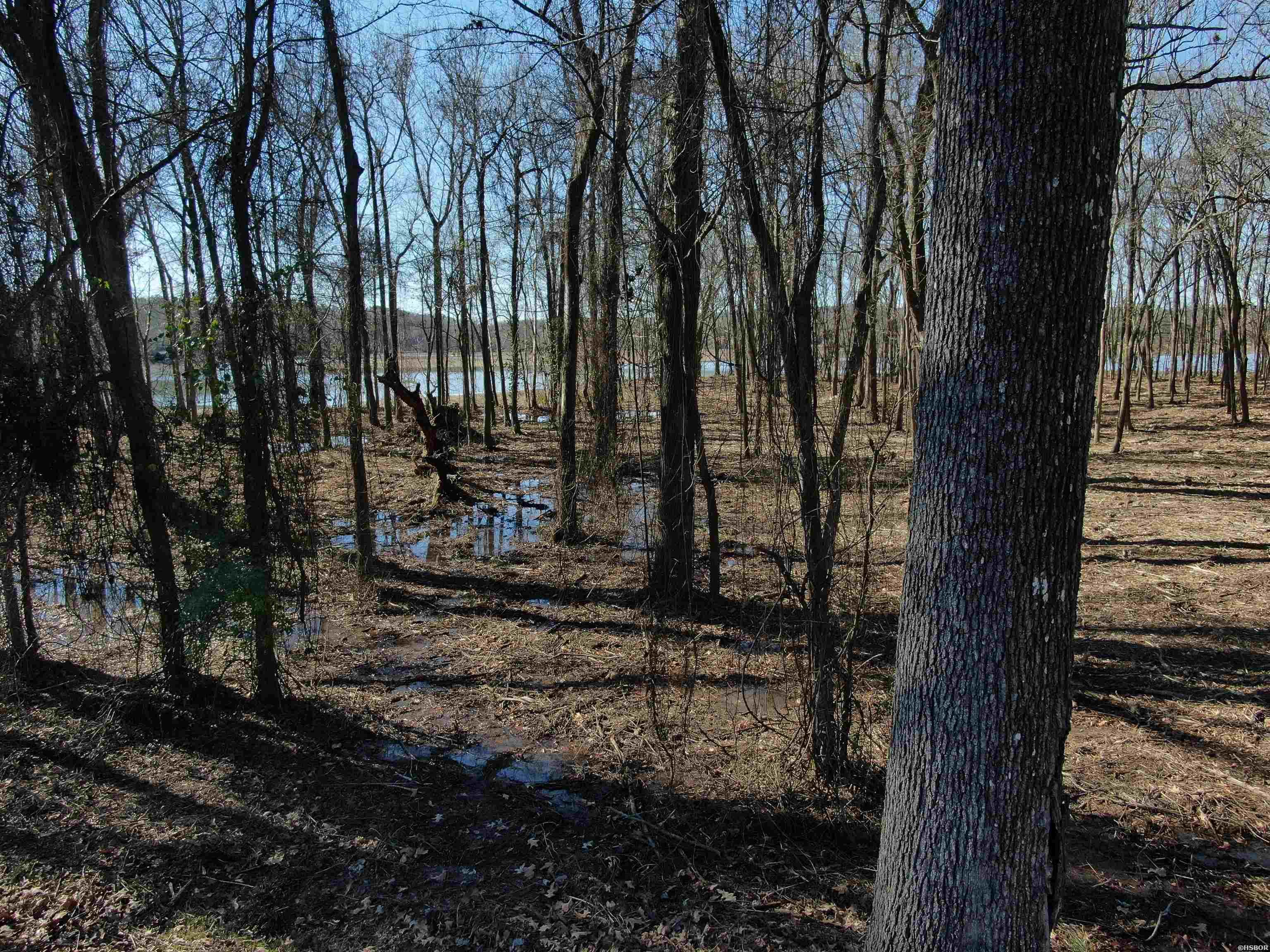 Xxx Rivermist Point Property Photo 12
