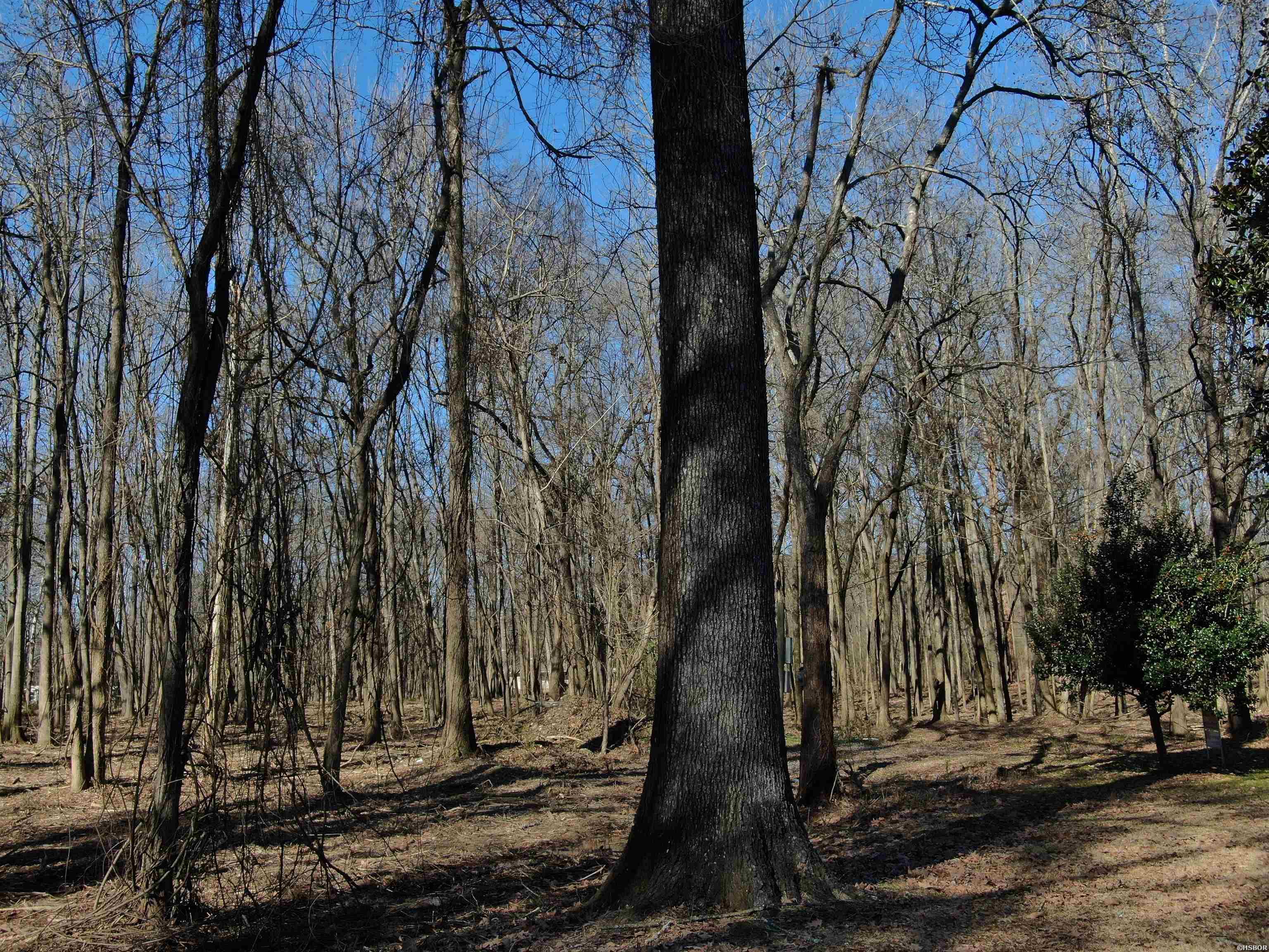 Xxx Rivermist Point Property Photo 16