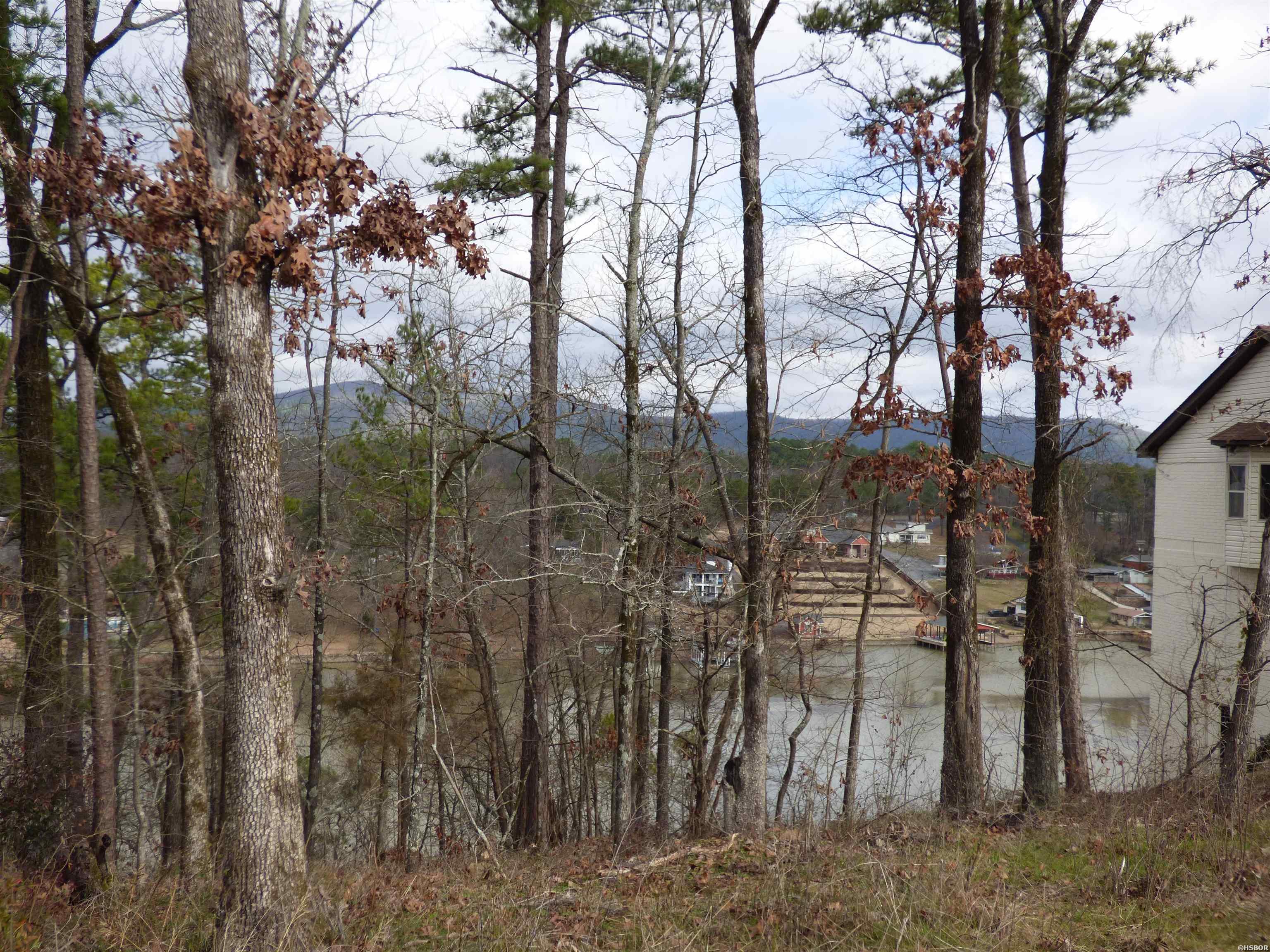 Tbd Lakeshore Drive Property Photo 3