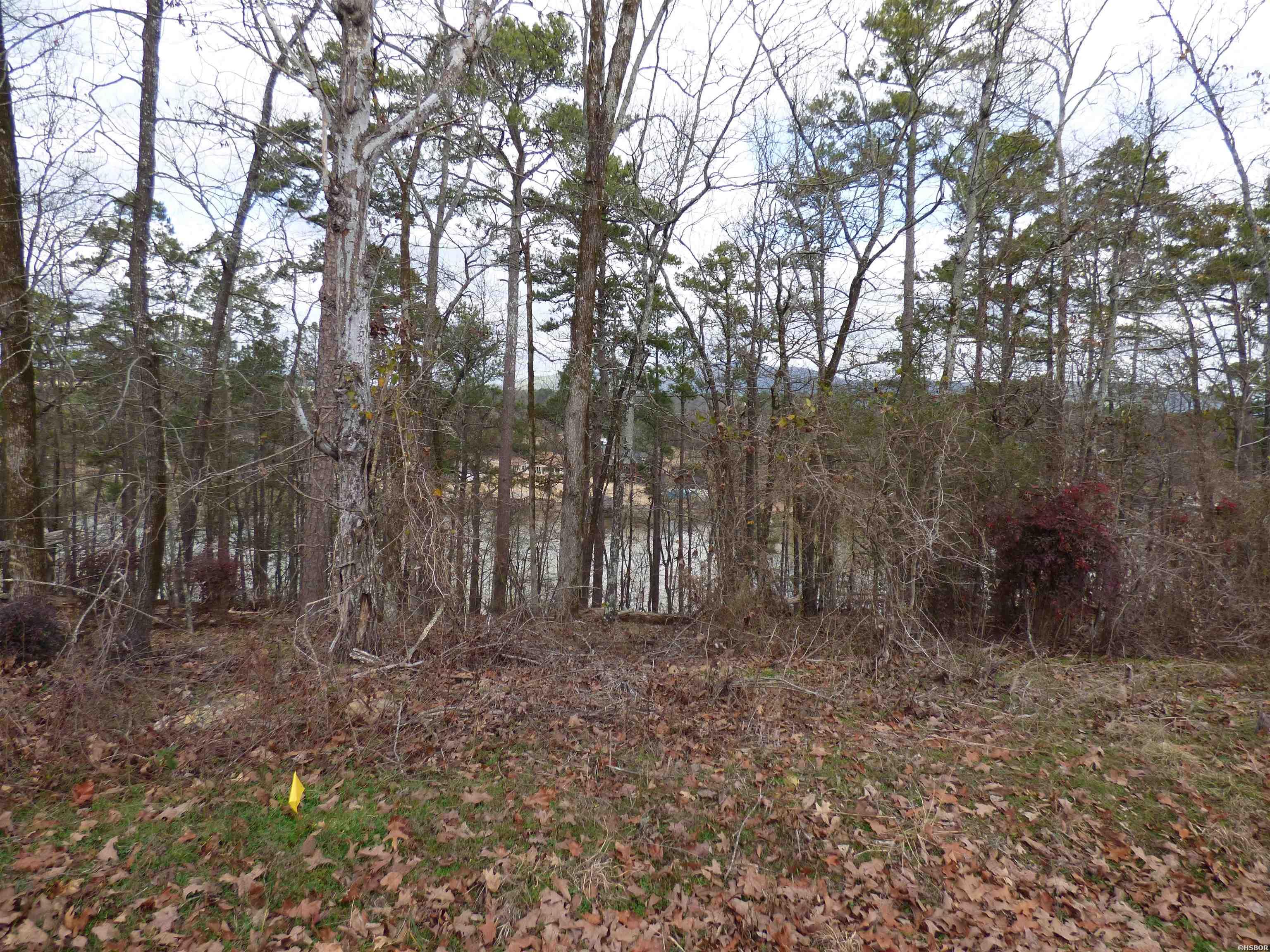 Tbd Lakeshore Drive Property Photo 5