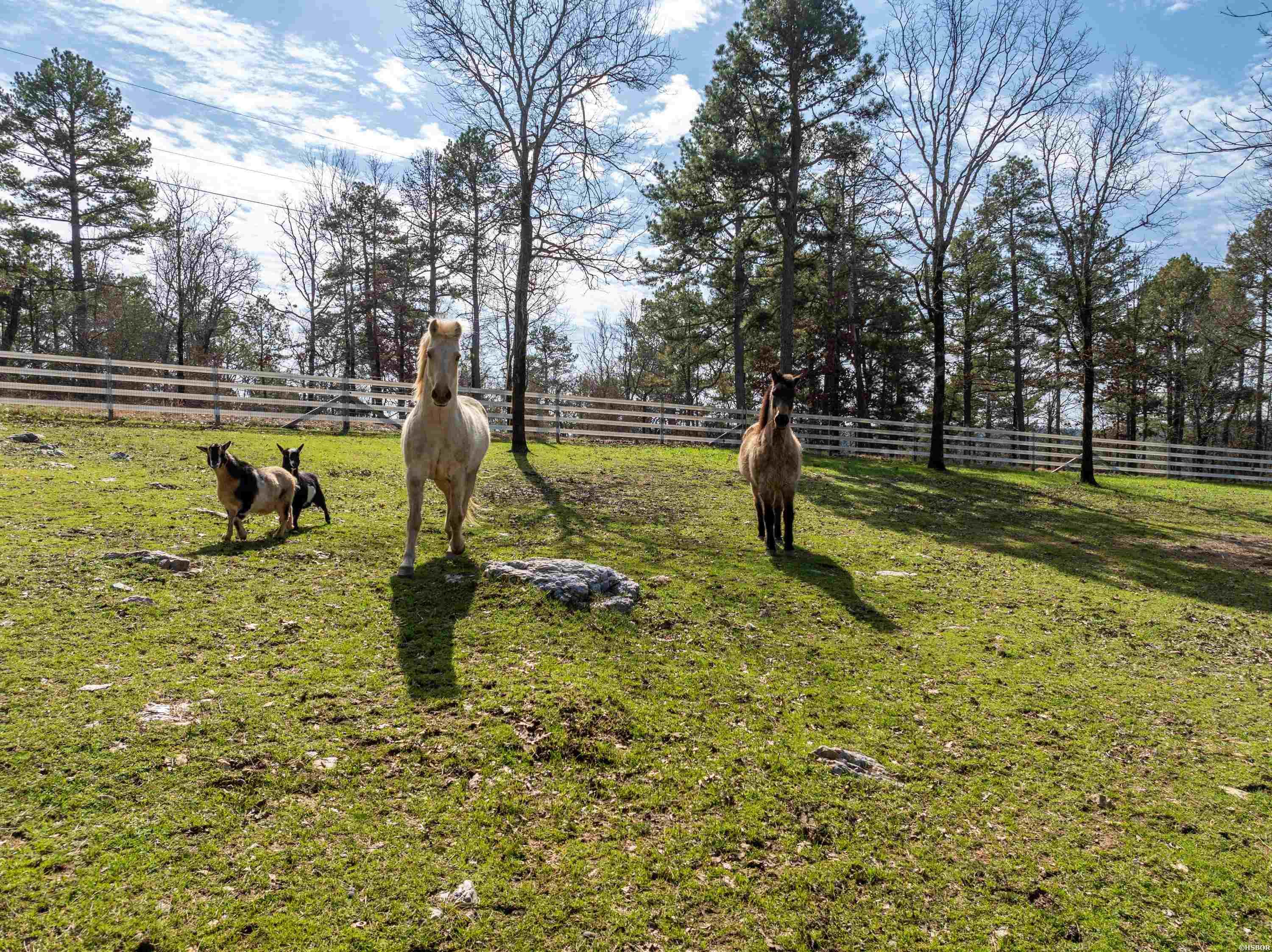 105 Pinnacle Court Property Photo 43