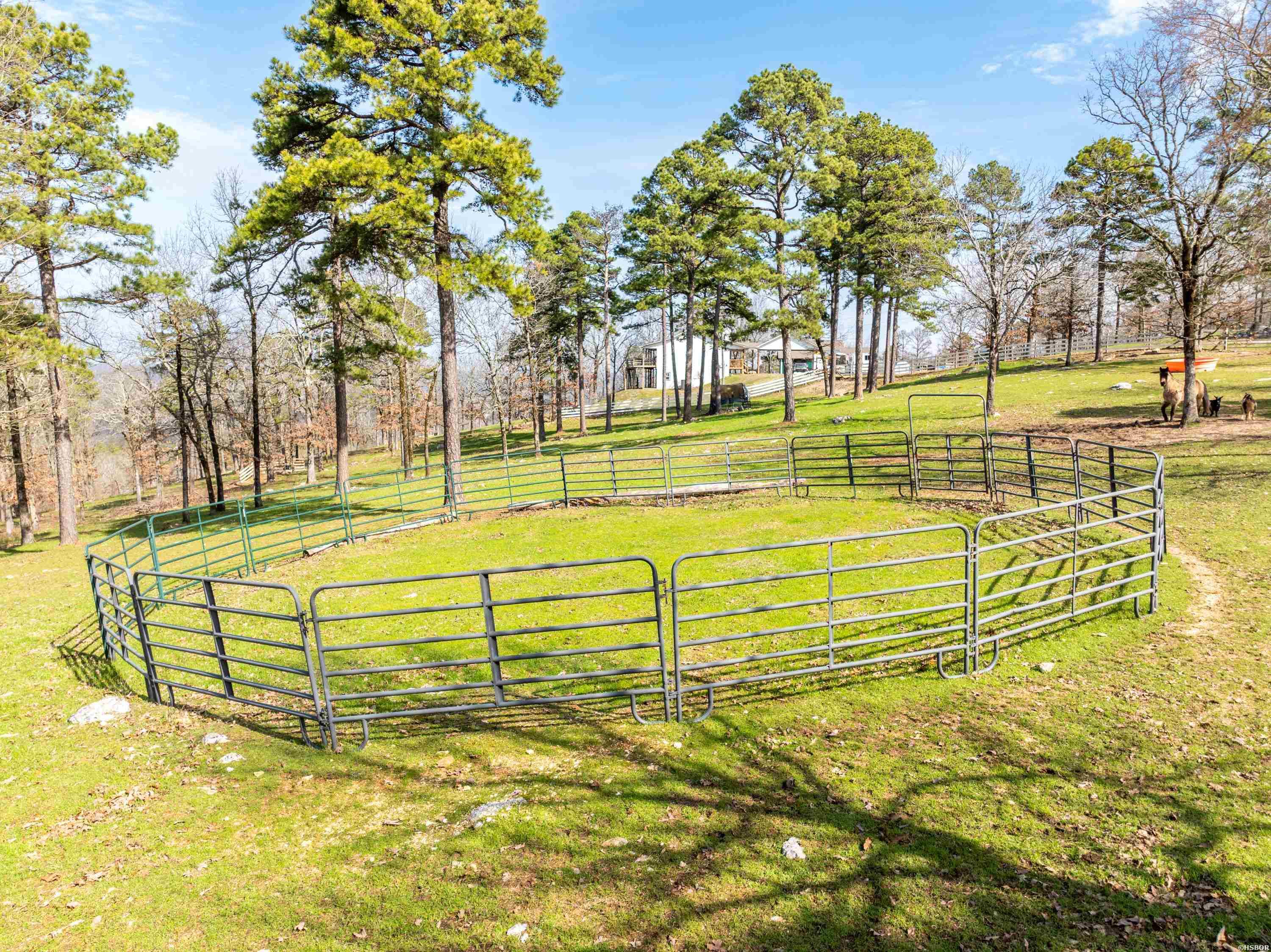 105 Pinnacle Court Property Photo 44