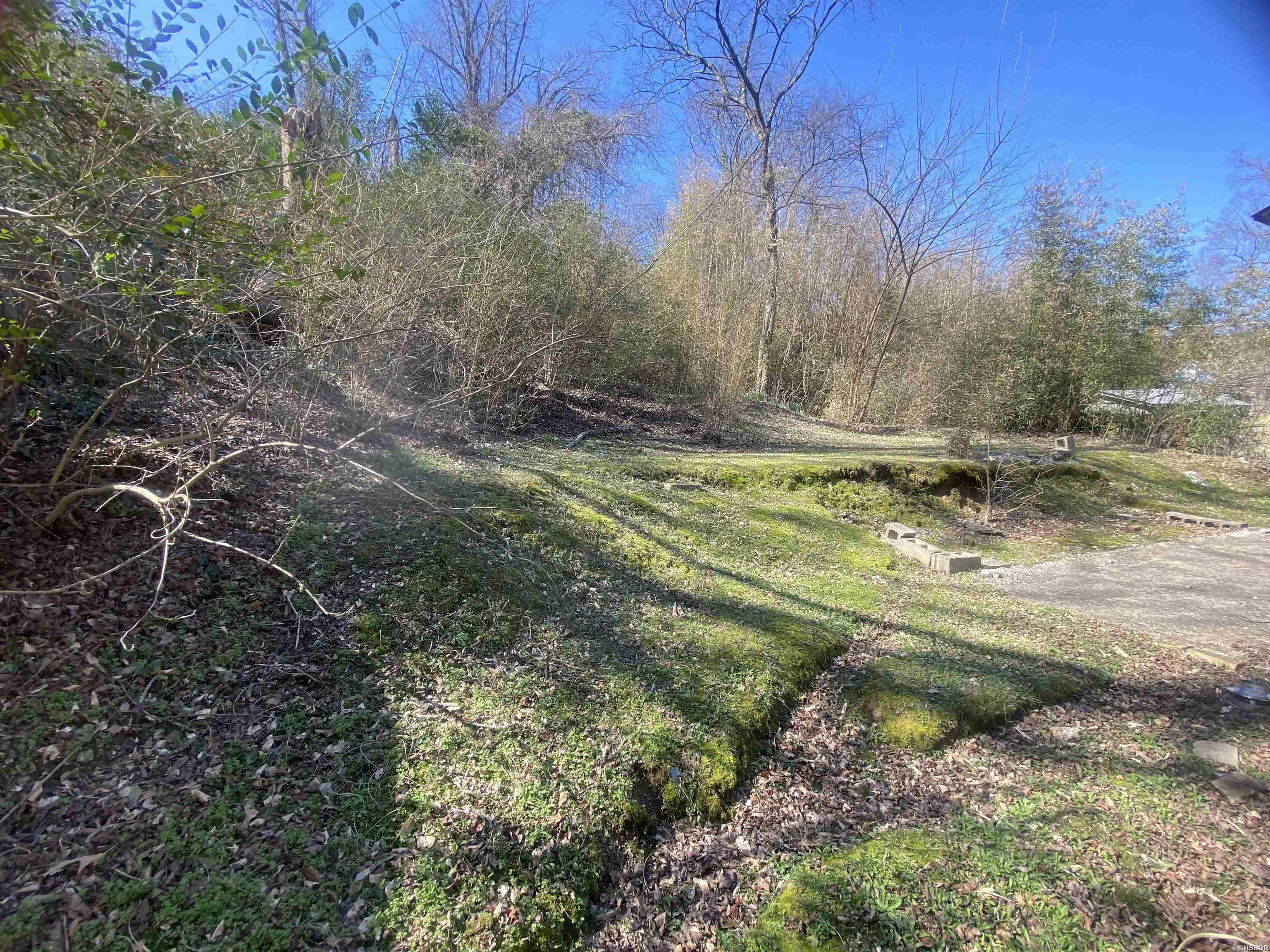 303 Bower Street Property Photo 12