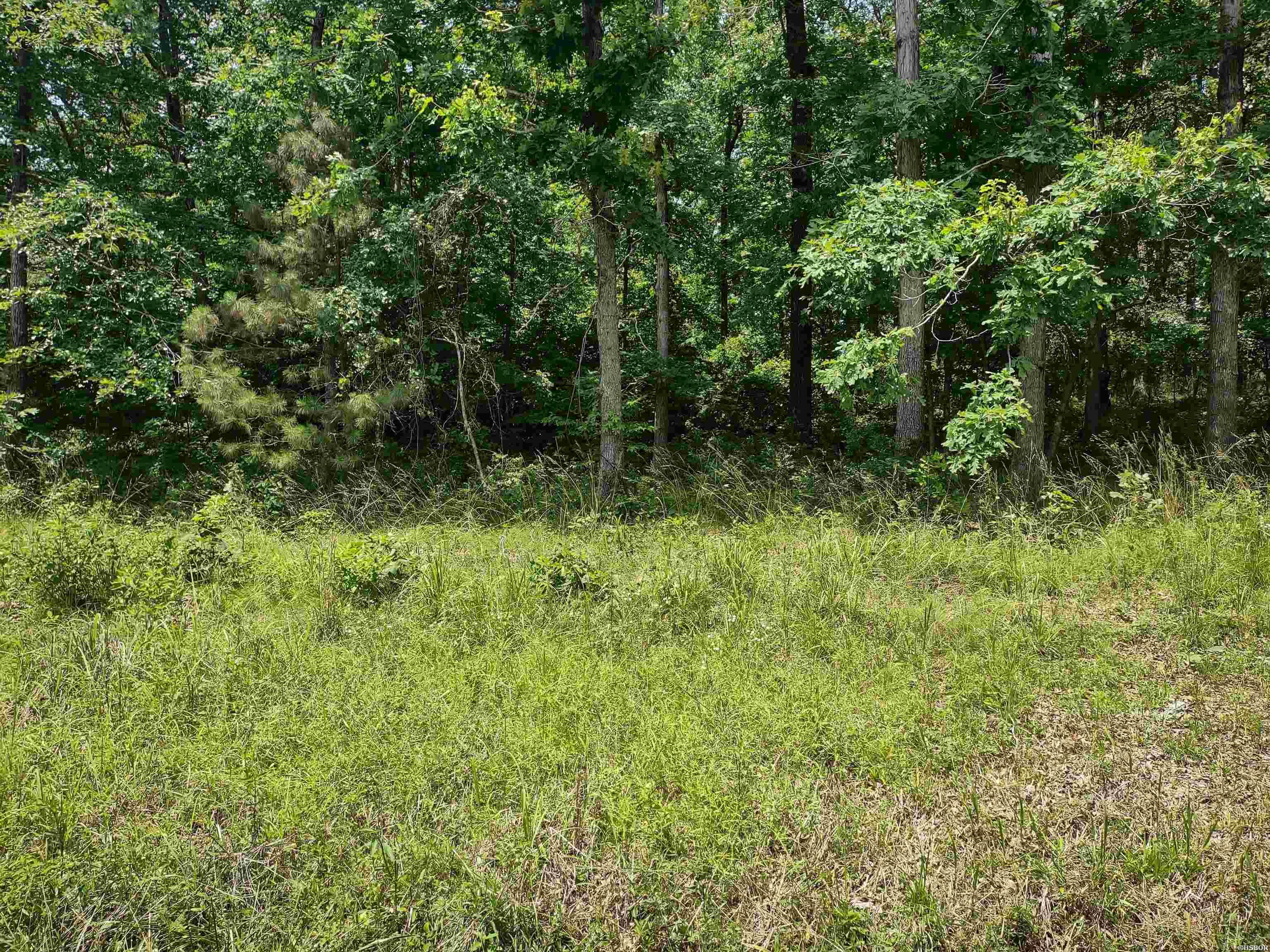 Lot 2227 Plum Hollow Property Photo