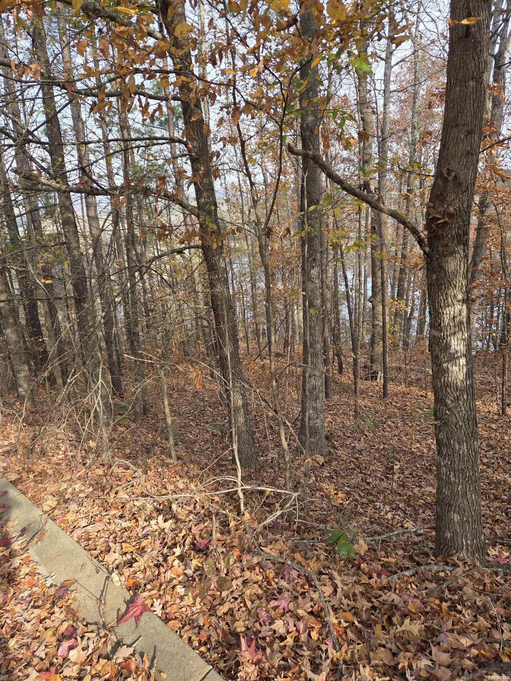 33 Waterfront Property Photo 2
