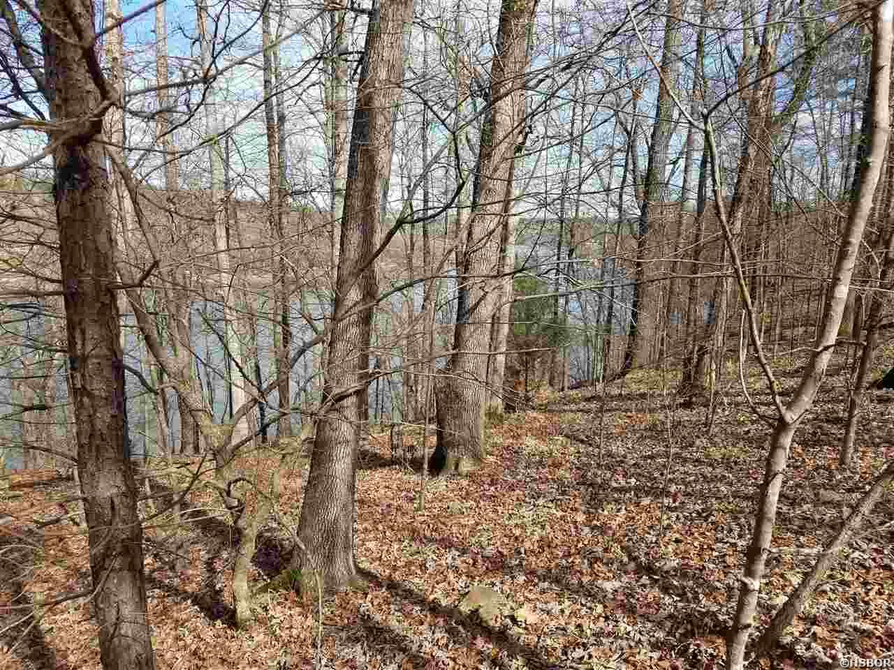 Lot 34 Waterfront Court Property Photo
