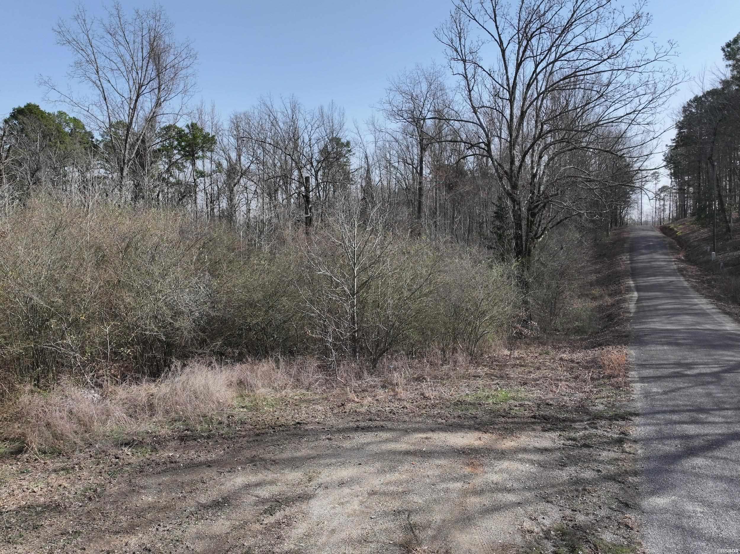 196 Pineview Estates Property Photo 3