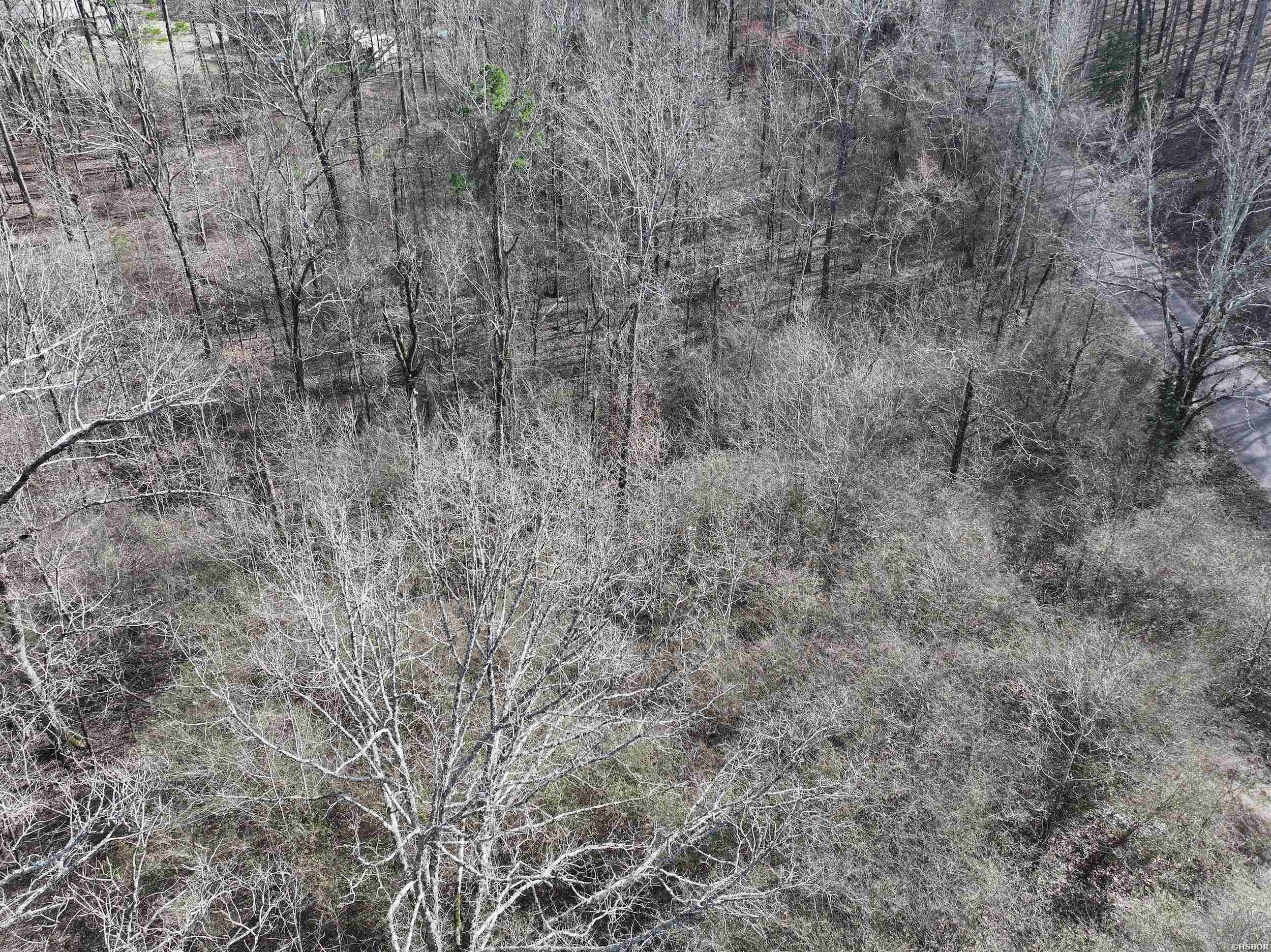 196 Pineview Estates Property Photo 4