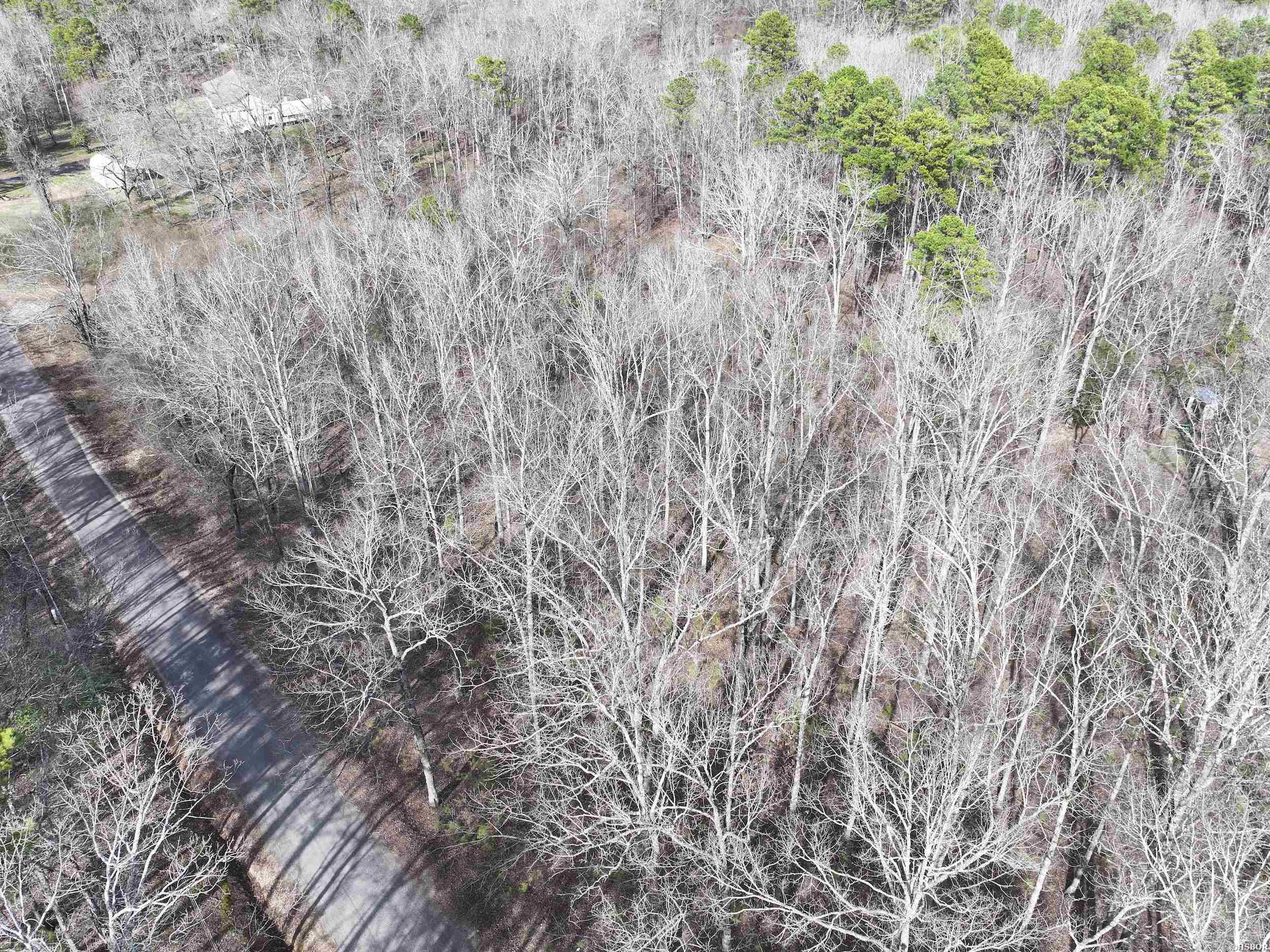 196 Pineview Estates Property Photo 6