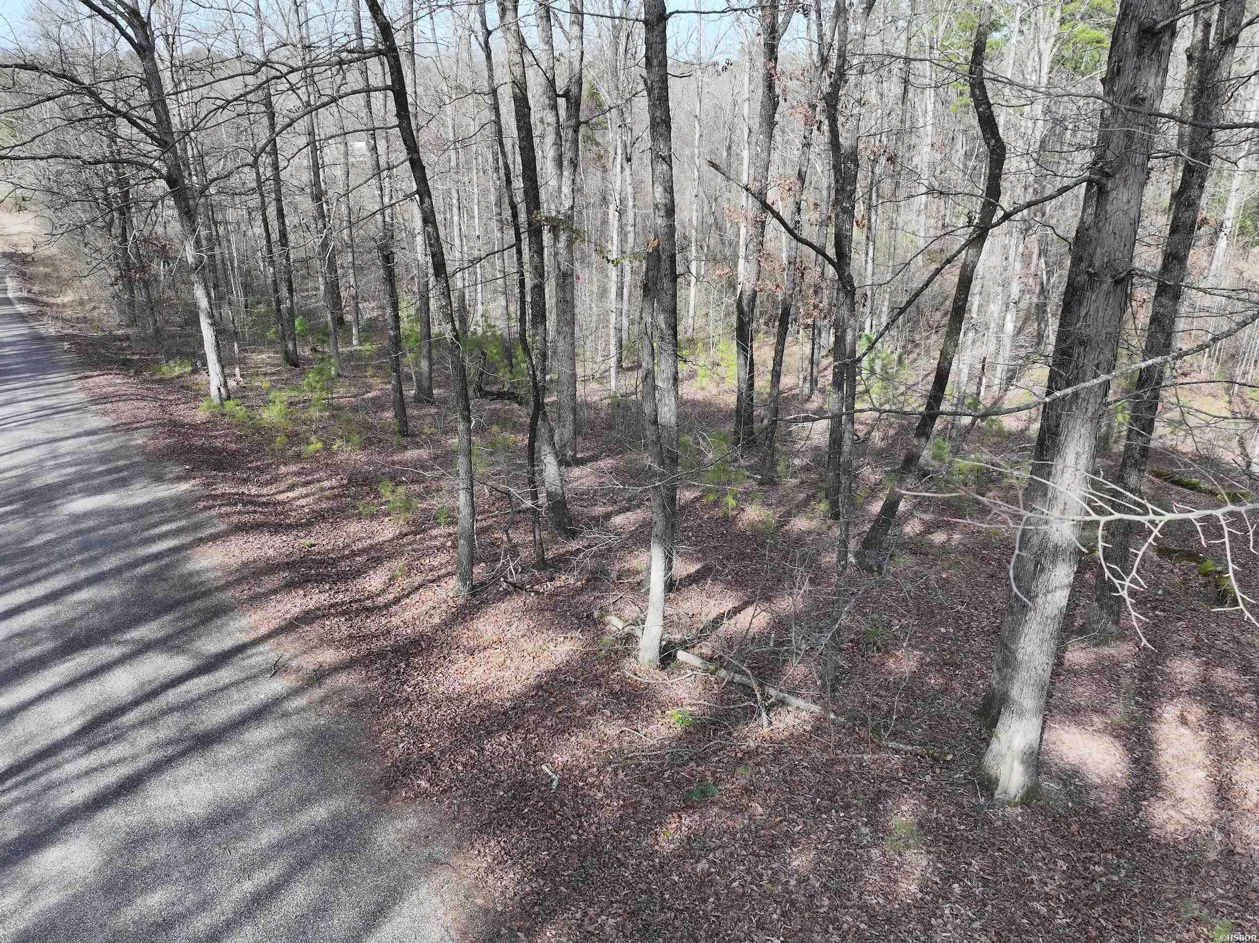 196 Pineview Estates Property Photo 7