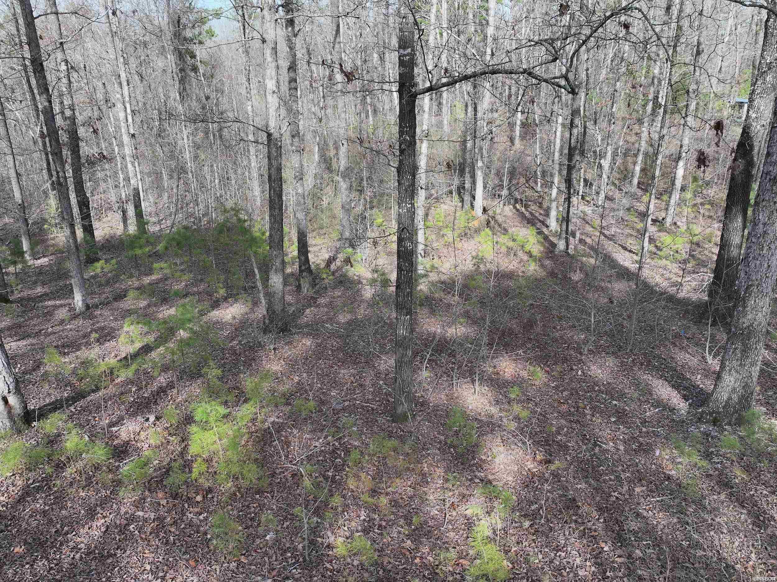 196 Pineview Estates Property Photo 8
