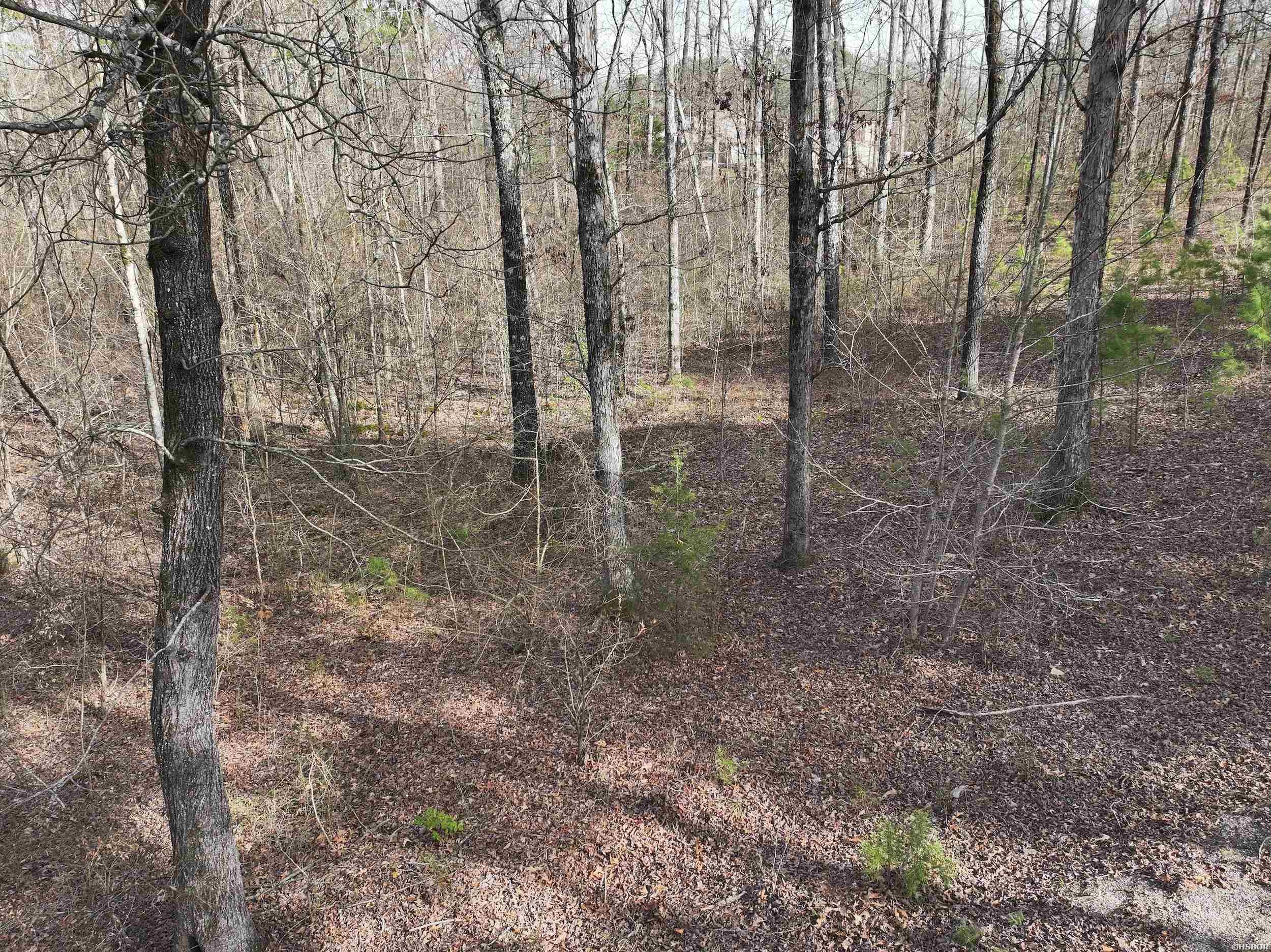 196 Pineview Estates Property Photo 9