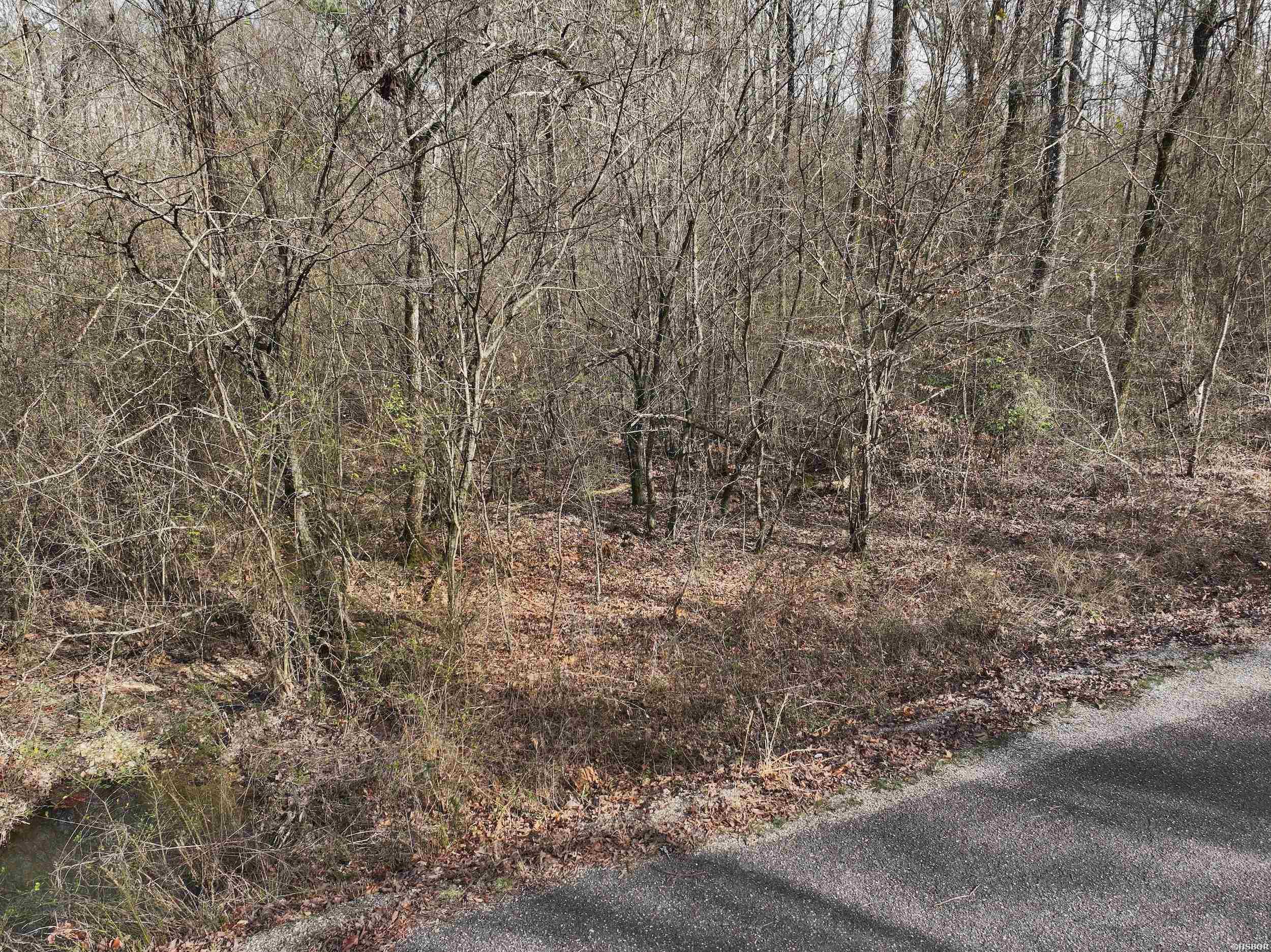 196 Pineview Estates Property Photo 10