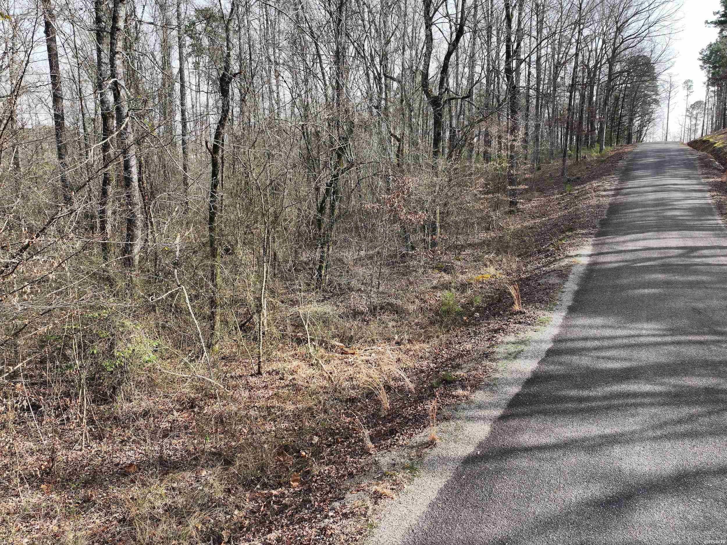 196 Pineview Estates Property Photo 11