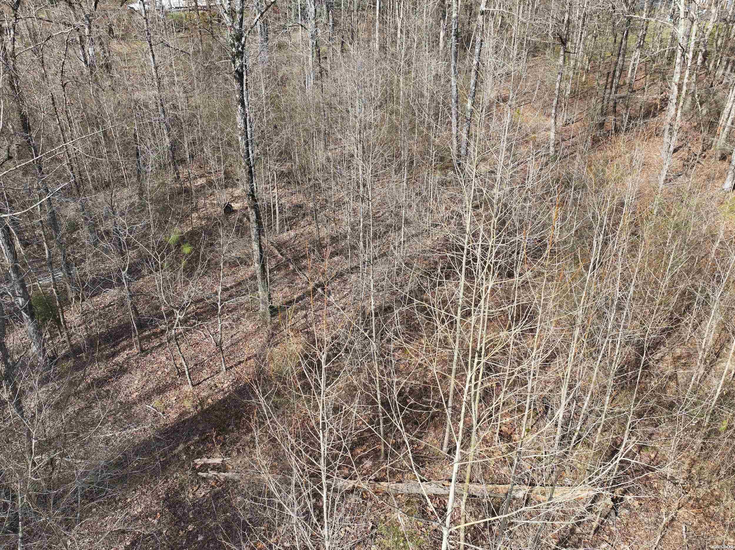196 Pineview Estates Property Photo 12