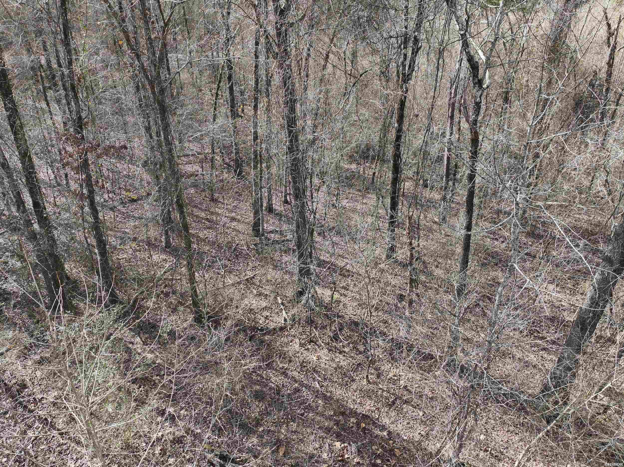 196 Pineview Estates Property Photo 13