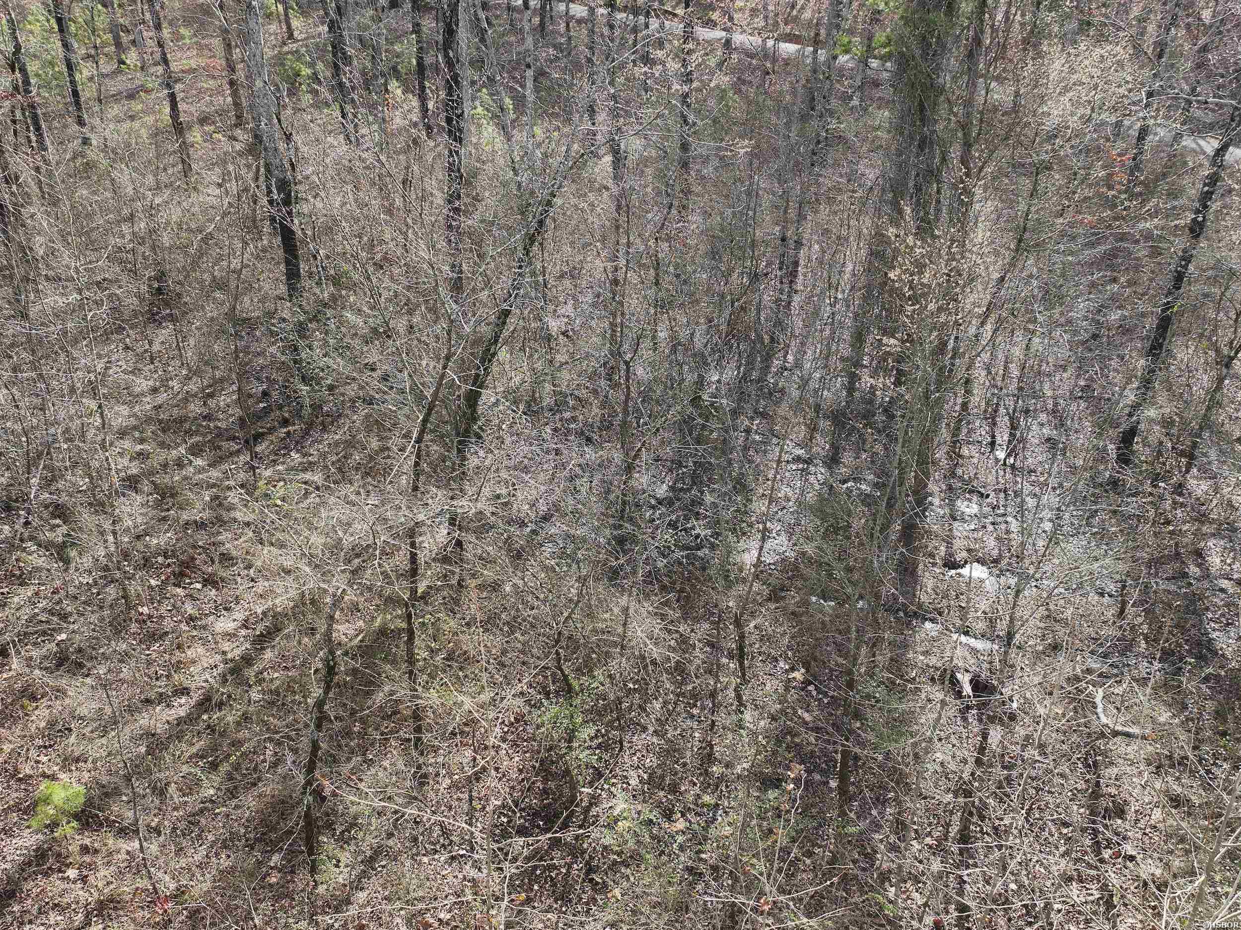 196 Pineview Estates Property Photo 14