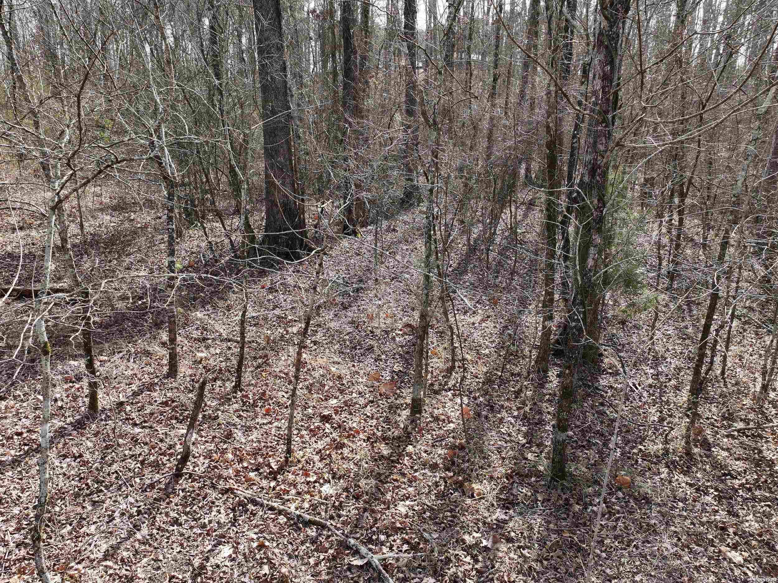 196 Pineview Estates Property Photo 15