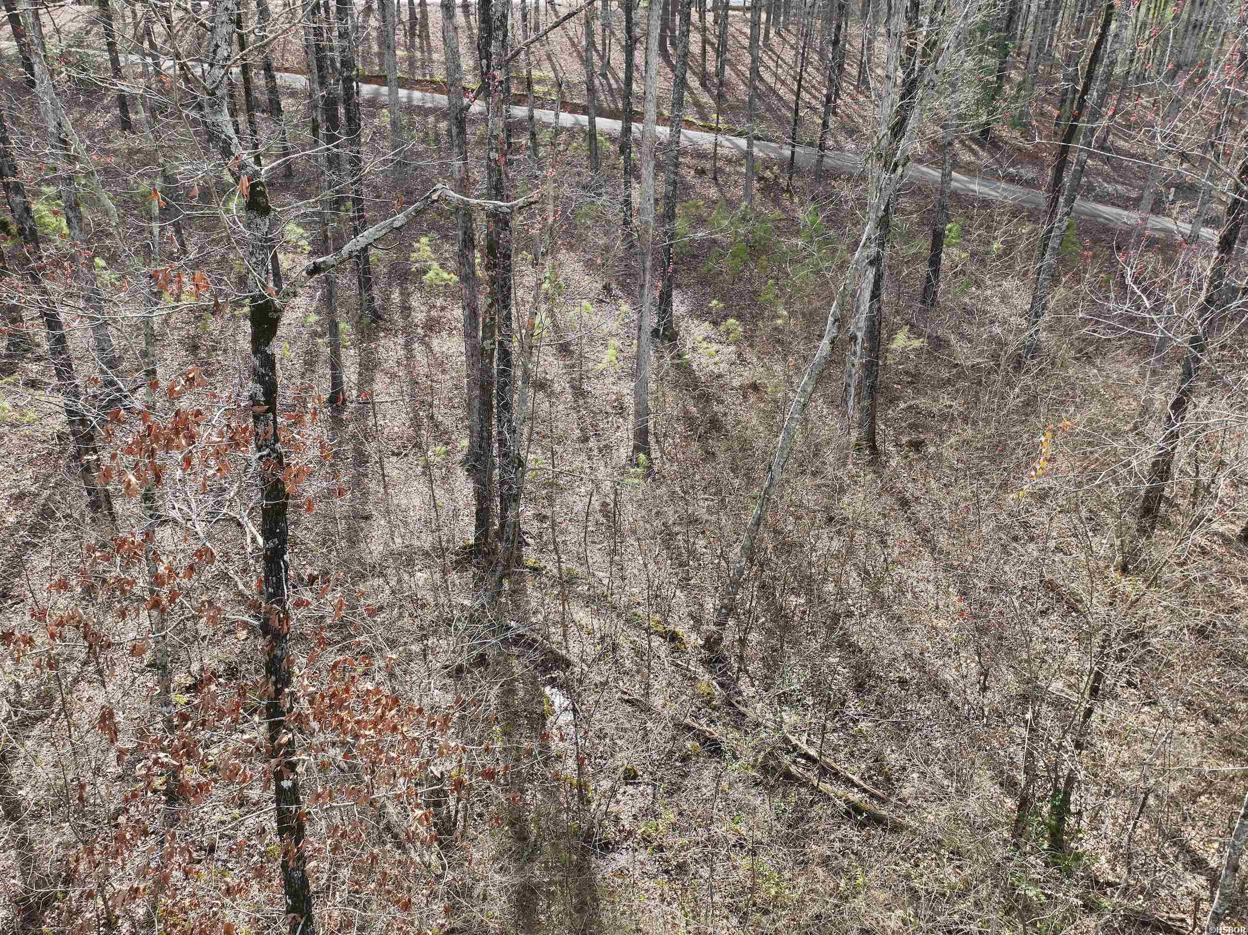 196 Pineview Estates Property Photo 17