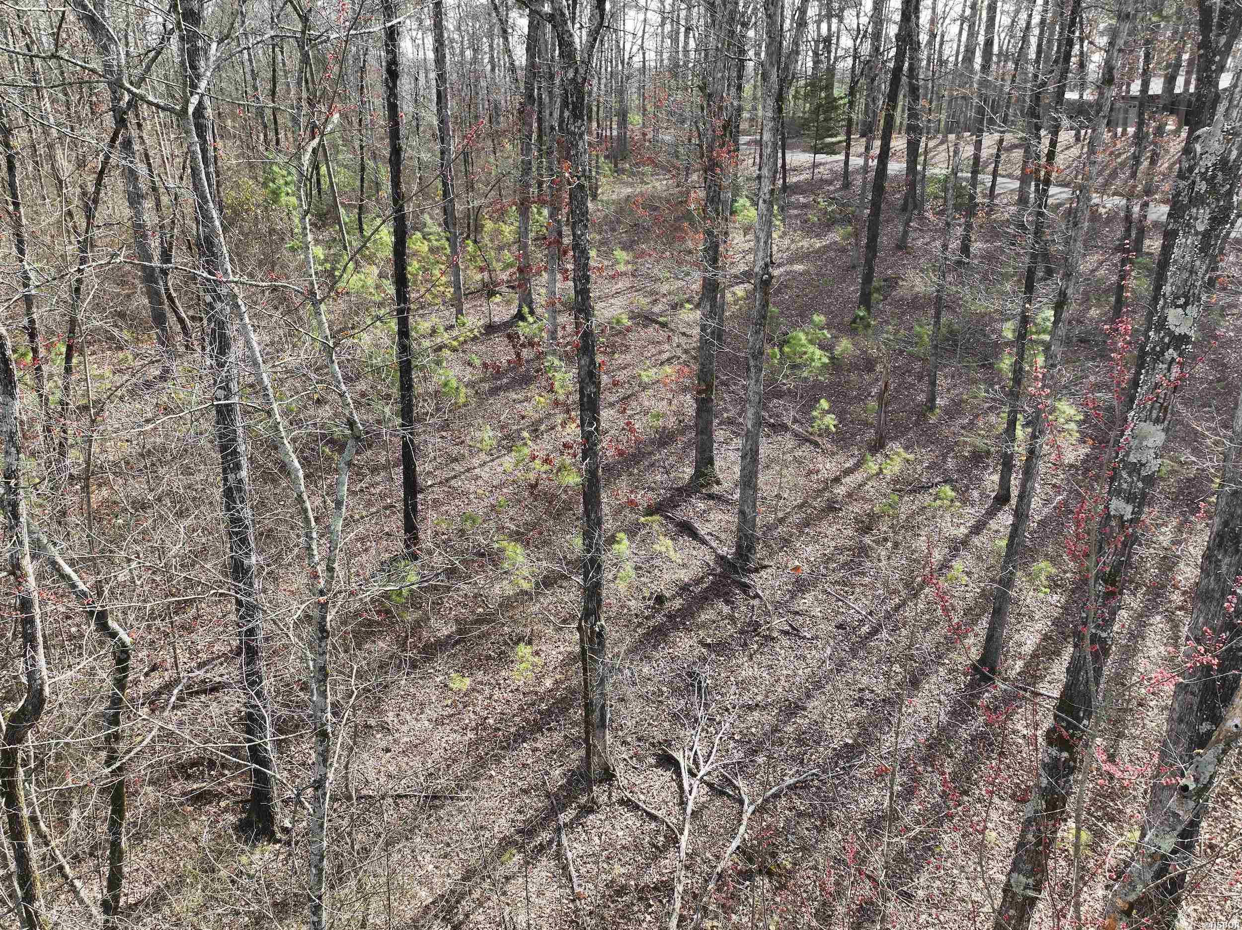 196 Pineview Estates Property Photo 18