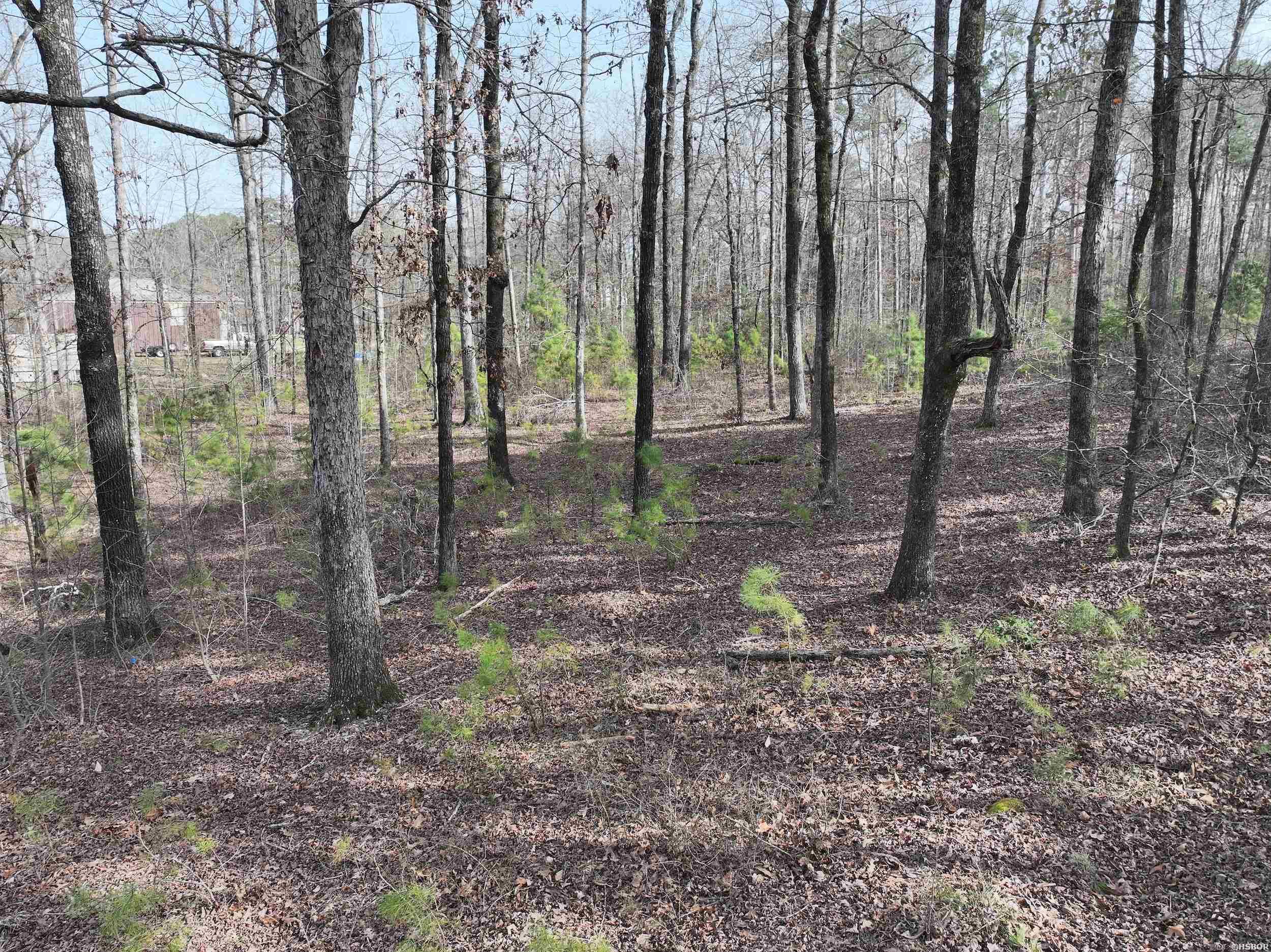 196 Pineview Estates Property Photo 19