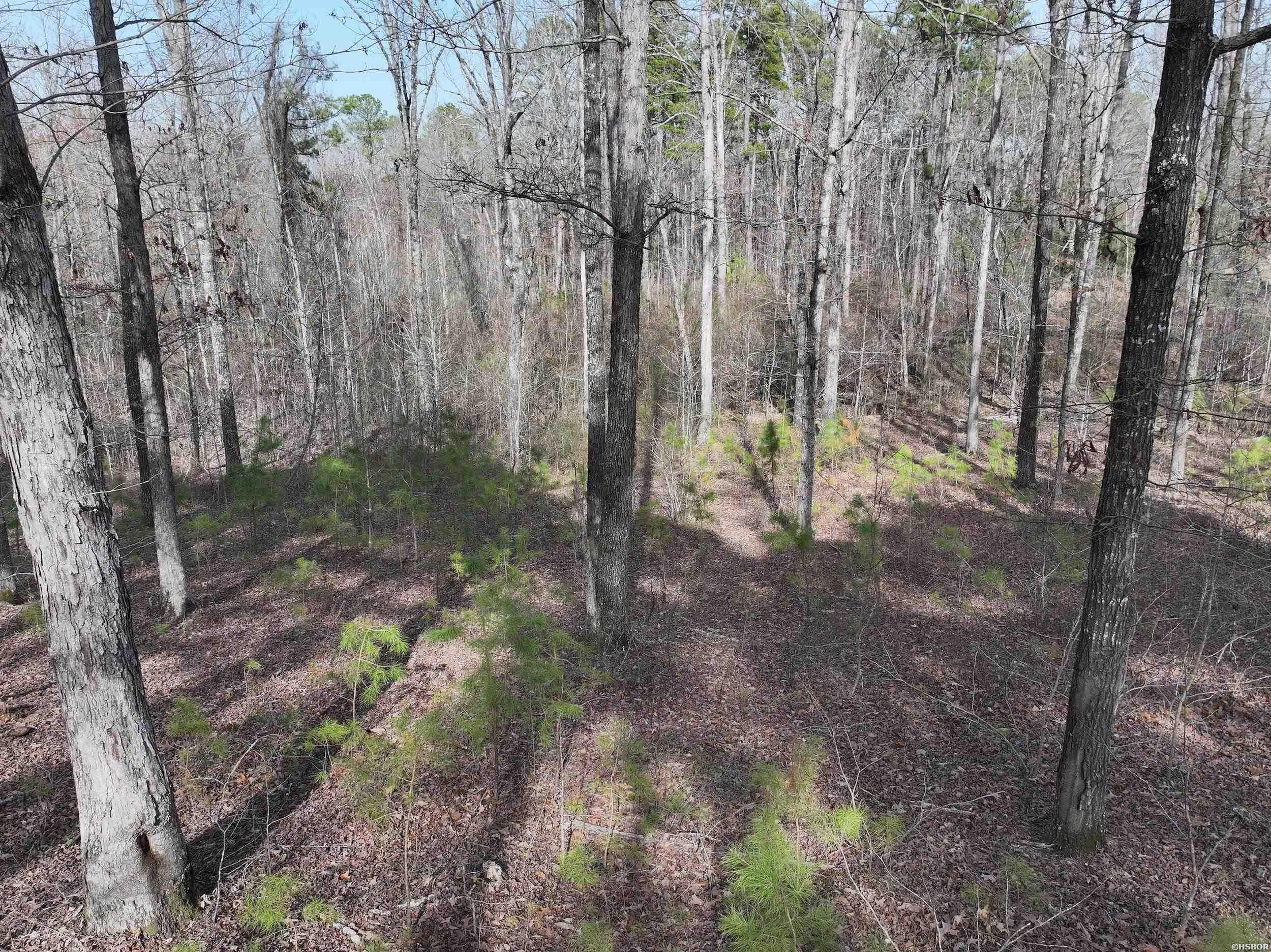 196 Pineview Estates Property Photo 20