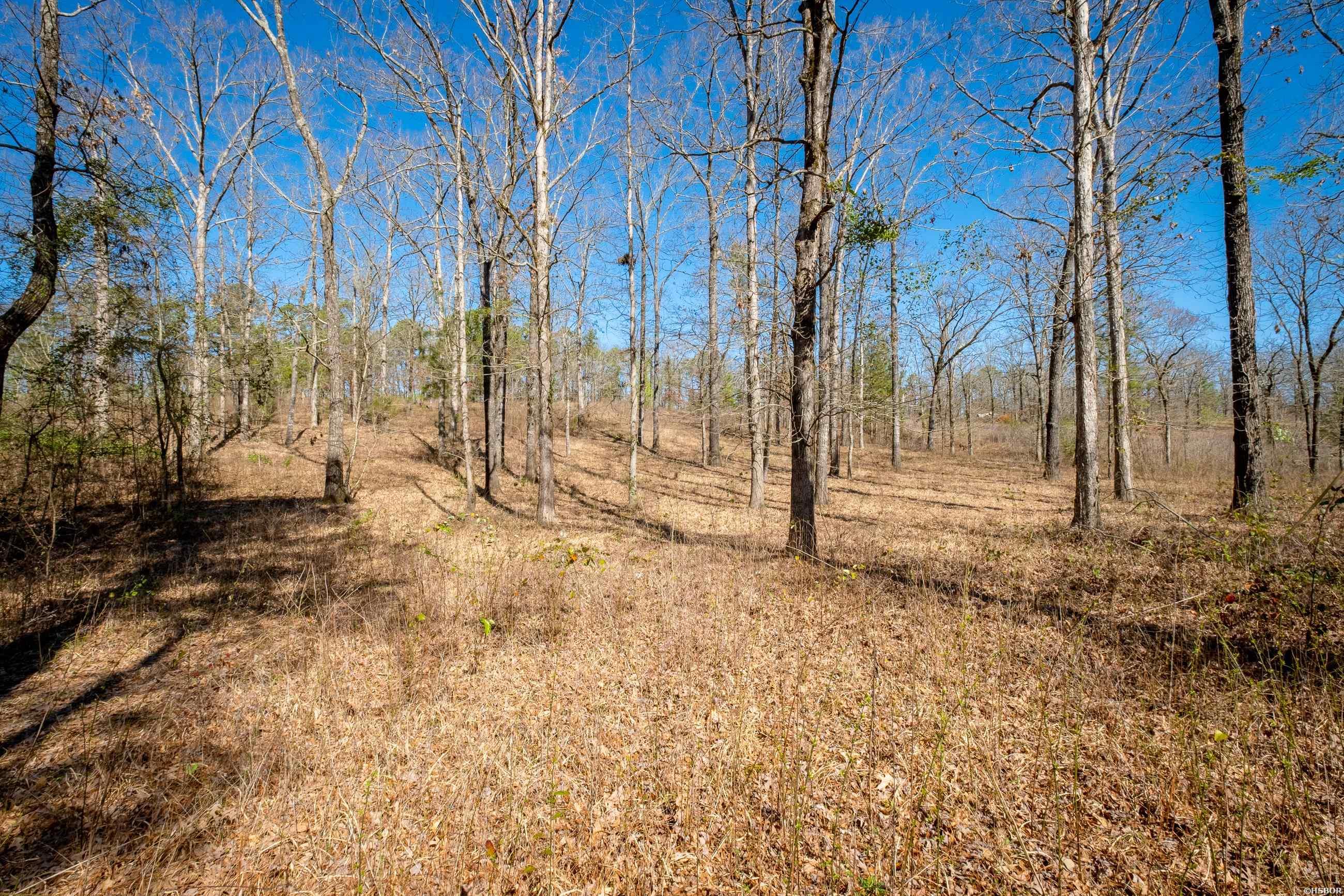 00 Woodstock Drive Property Photo 30