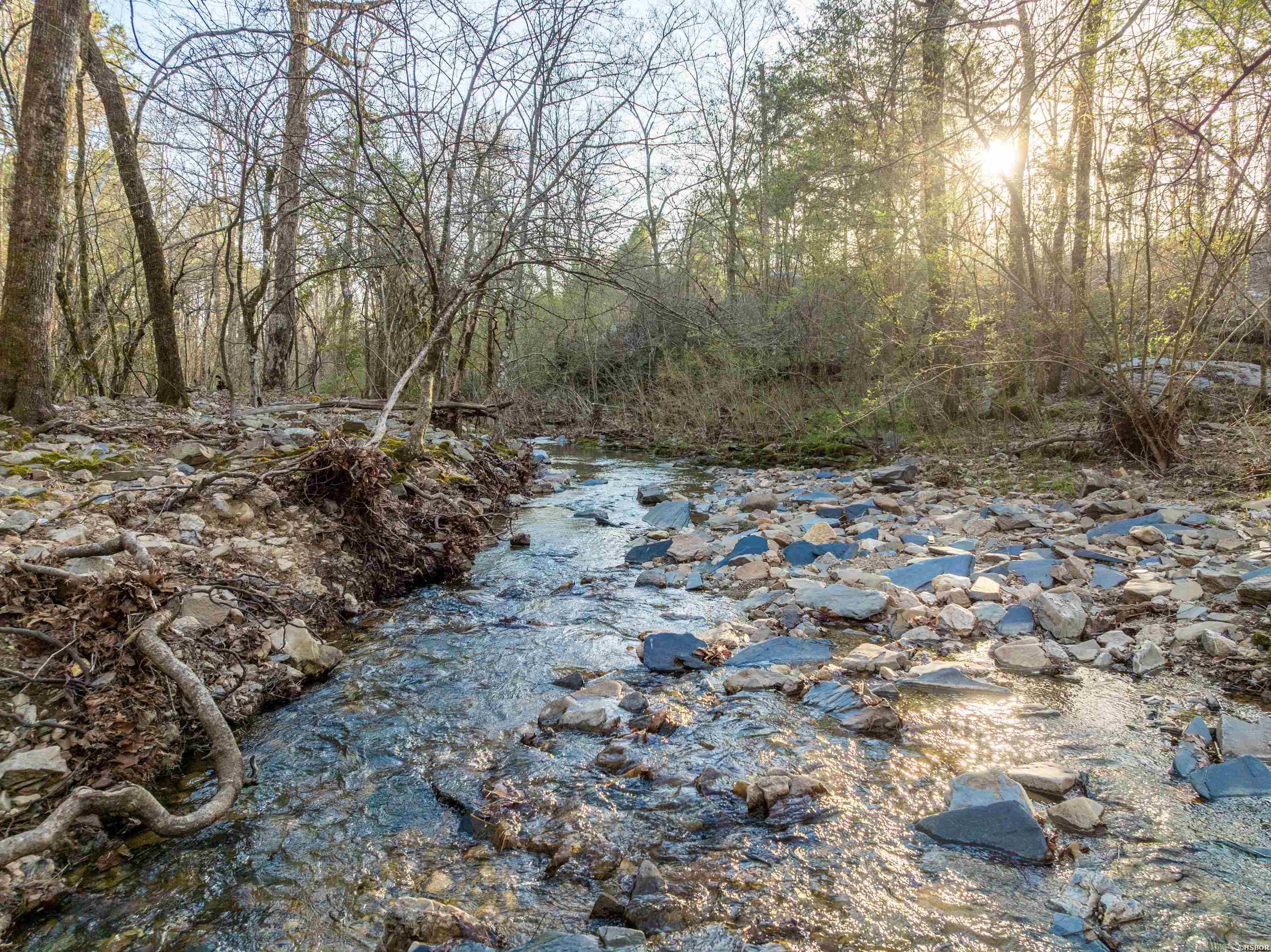 Tbd Cedar Creek Road Property Photo 1