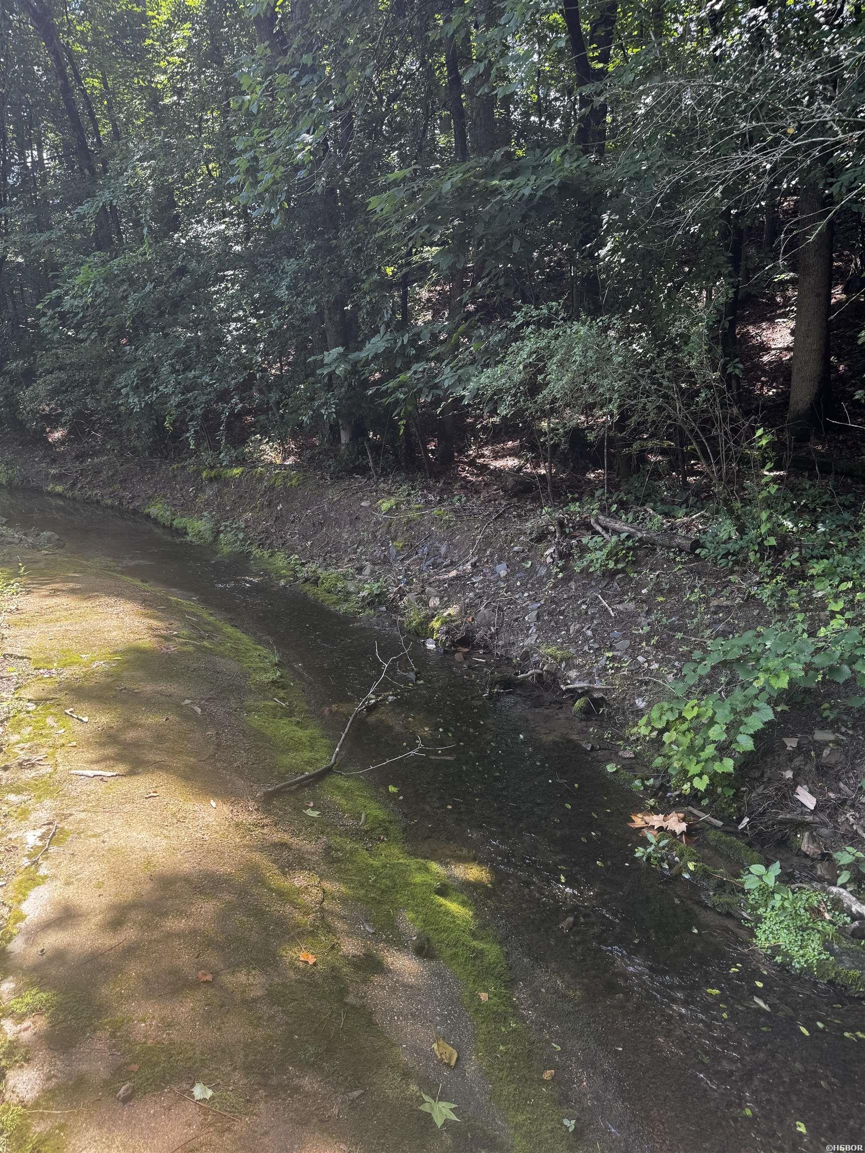 Lot 31 Forest View Circle Property Photo 3
