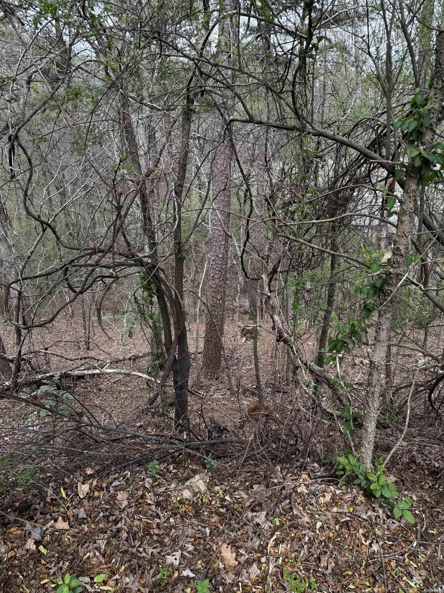 Lot 31 Forest View Circle Property Photo 8