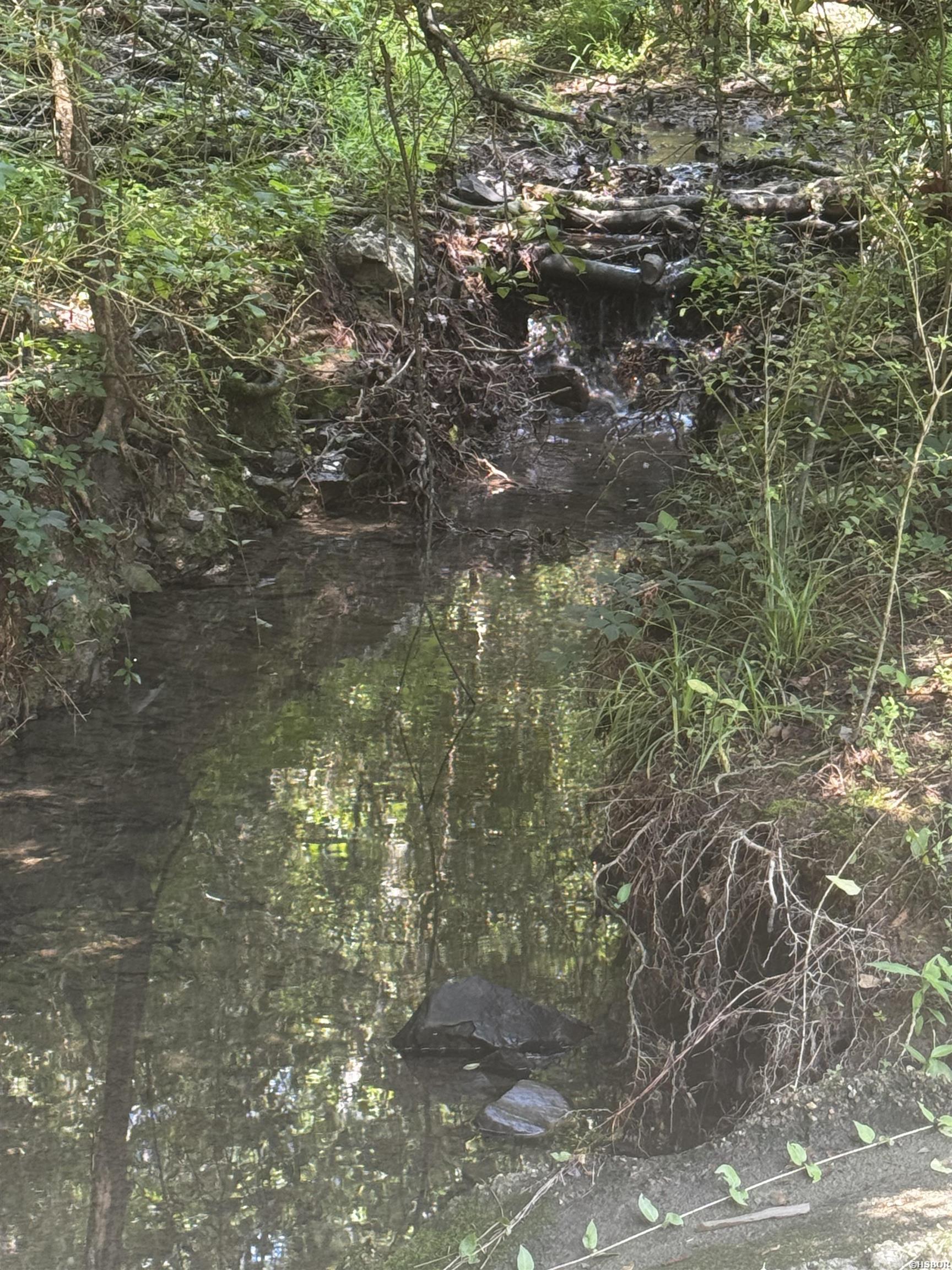 Lot 31 Forest View Circle Property Photo 9