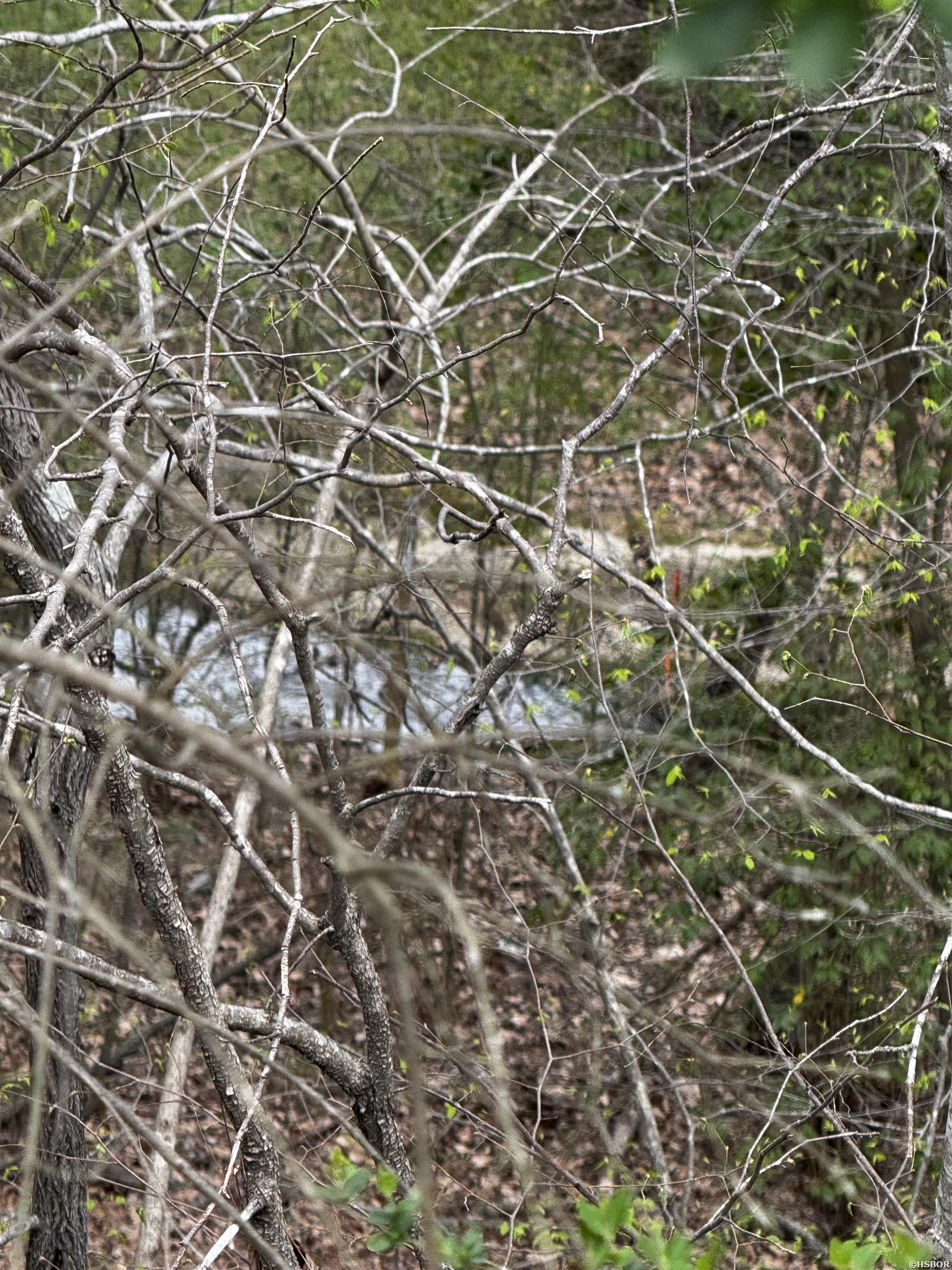 Lot 31 Forest View Circle Property Photo 10