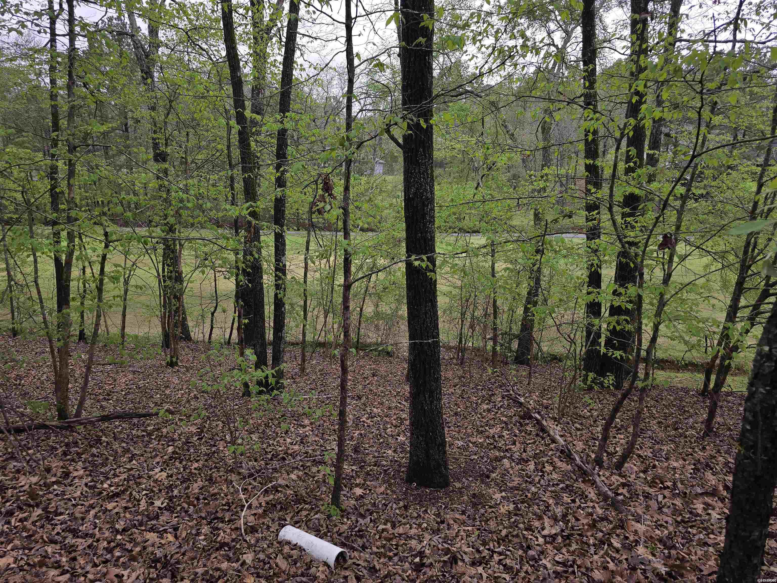 Lot 1663 PEBBLE BEACH Drive Property Photo 1
