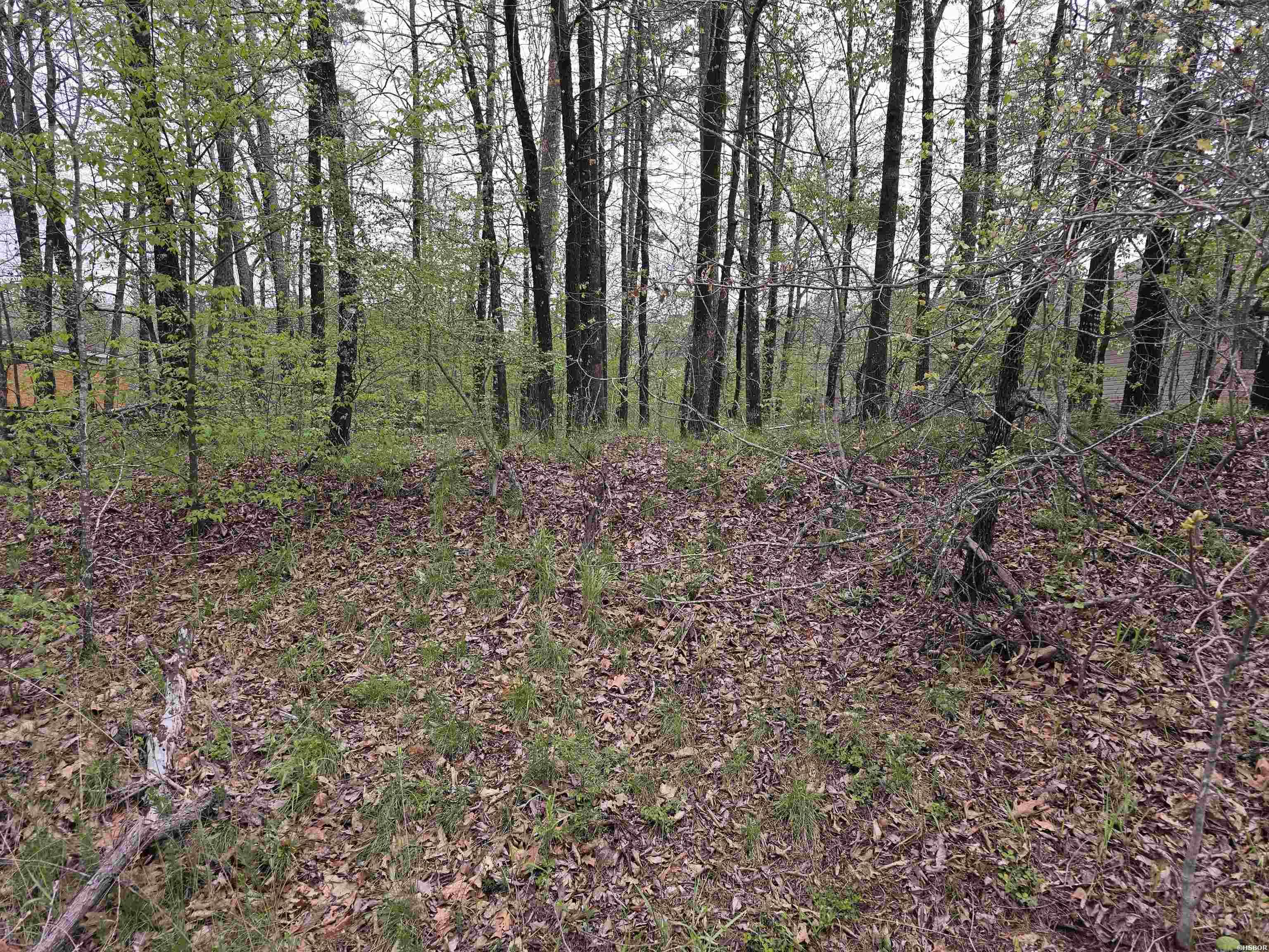 Lot 2934 Diamondhead Property Photo 1