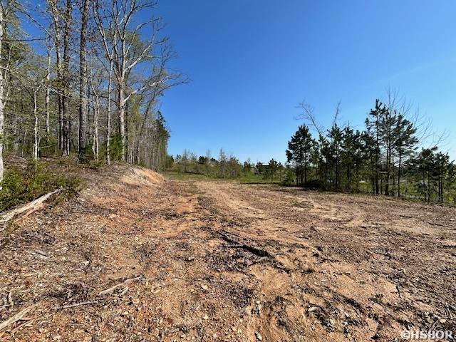 Lot 14 Barking Squirrel Property Photo 5