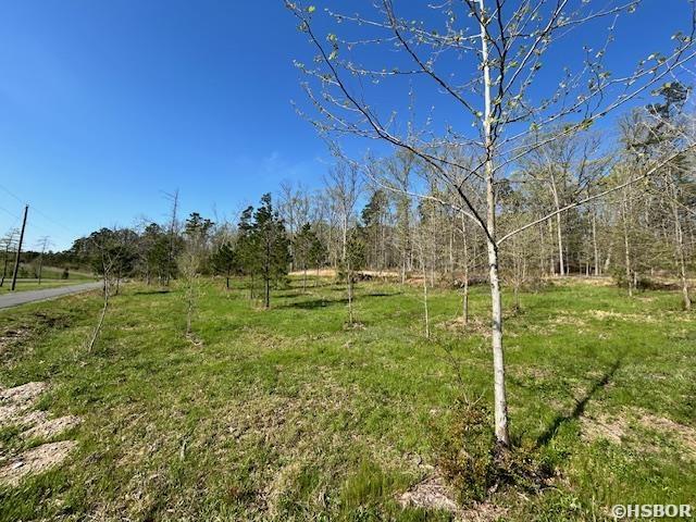 Lot 14 Barking Squirrel Property Photo 12