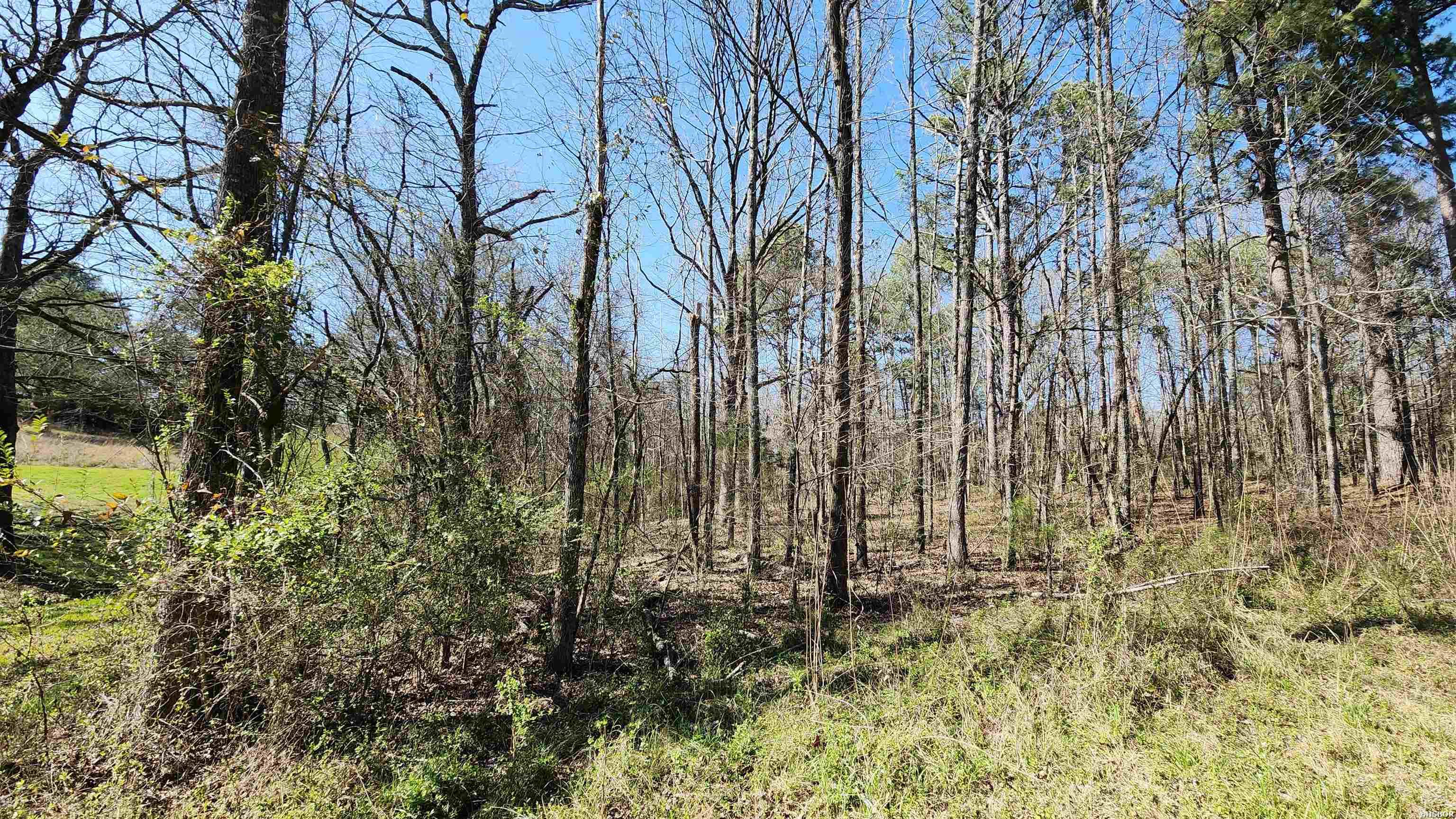 000 N Hwy 7 Property Photo 10