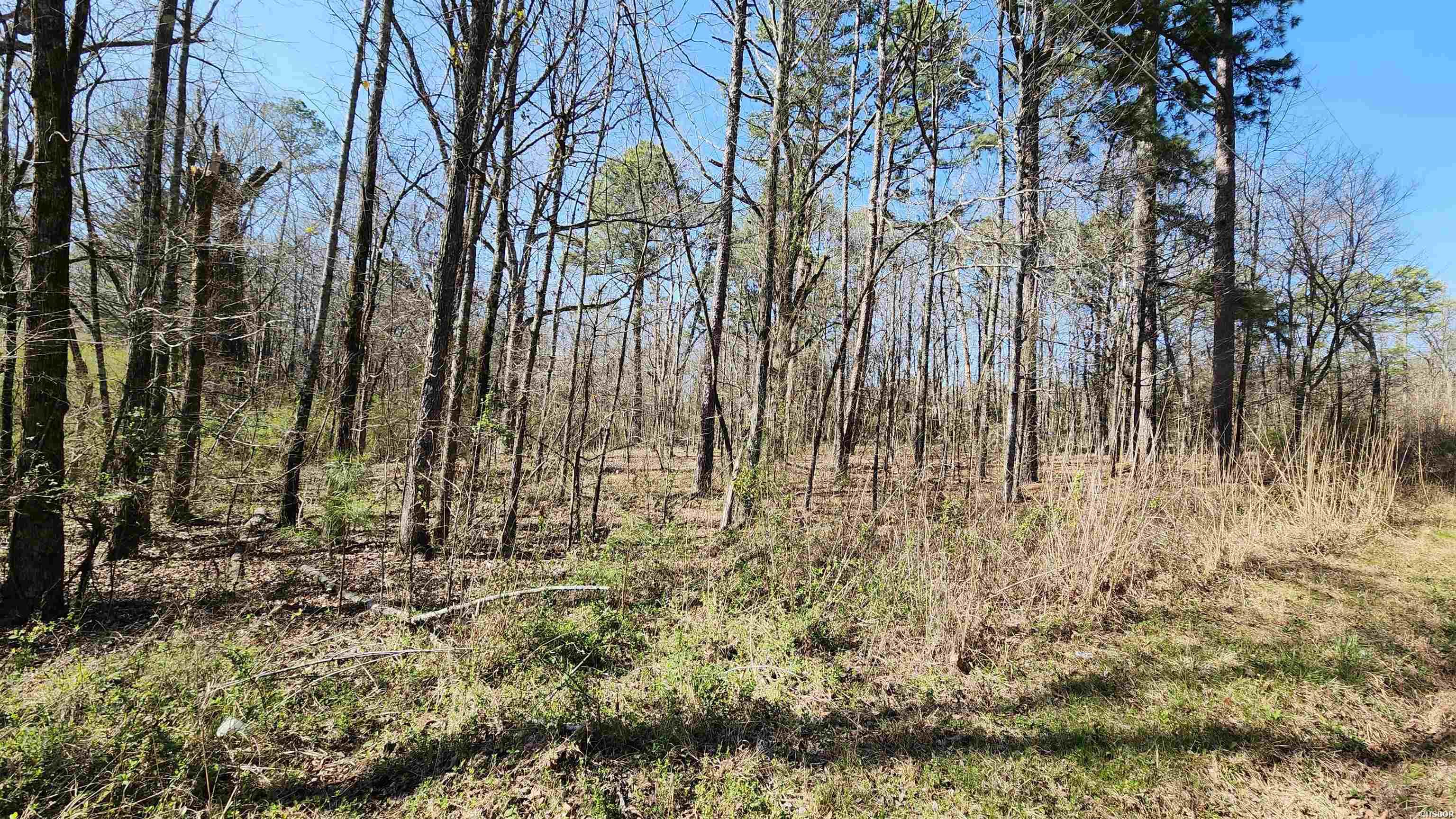 000 N Hwy 7 Property Photo 12