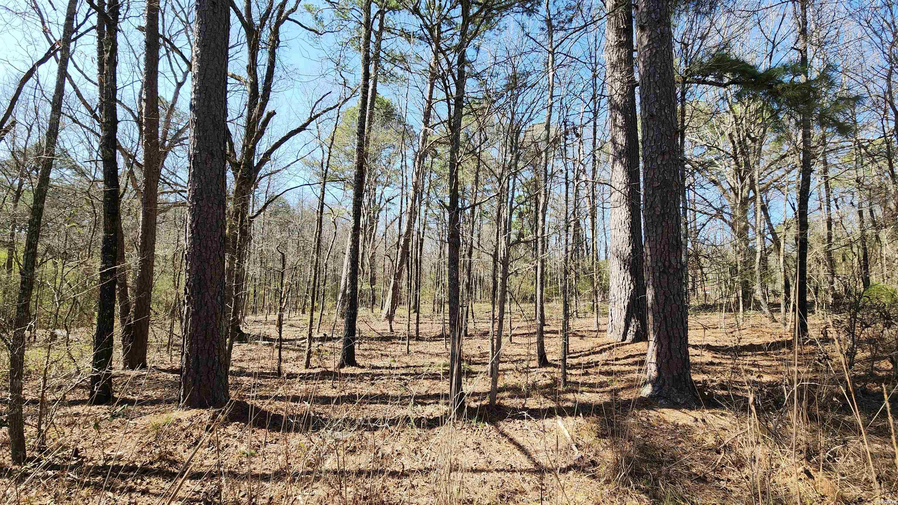 000 N Hwy 7 Property Photo 14