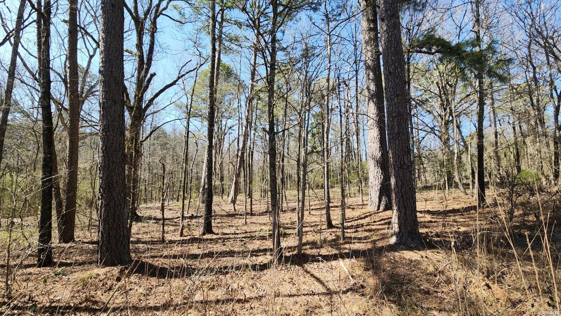 000 N Hwy 7 Property Photo 15