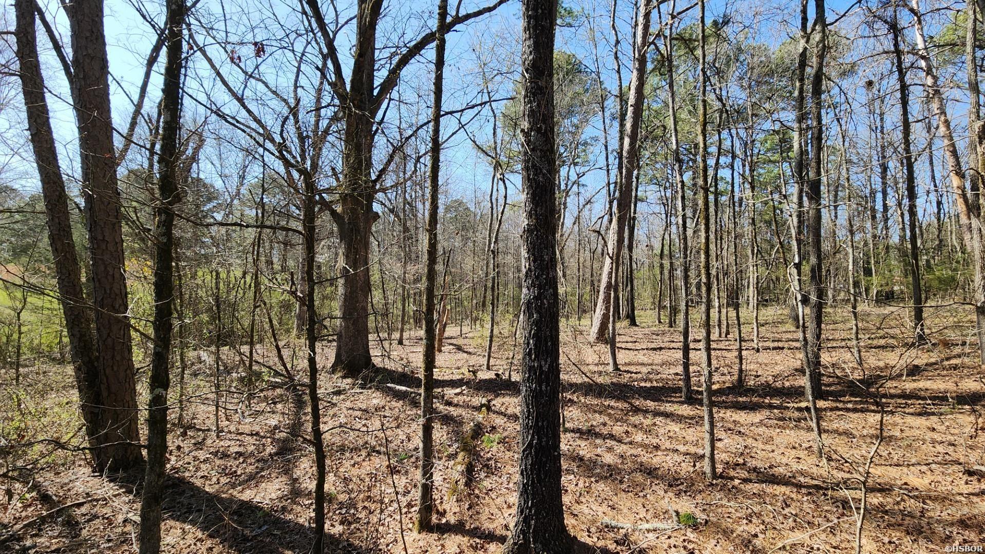 000 N Hwy 7 Property Photo 17