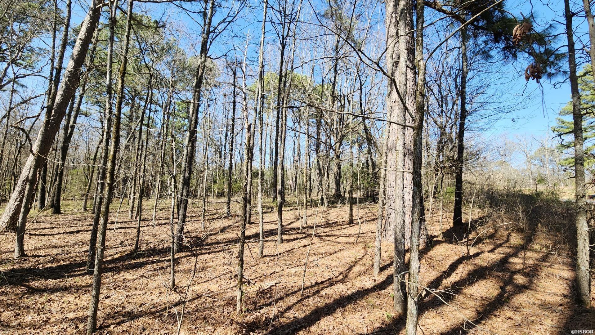 000 N Hwy 7 Property Photo 18