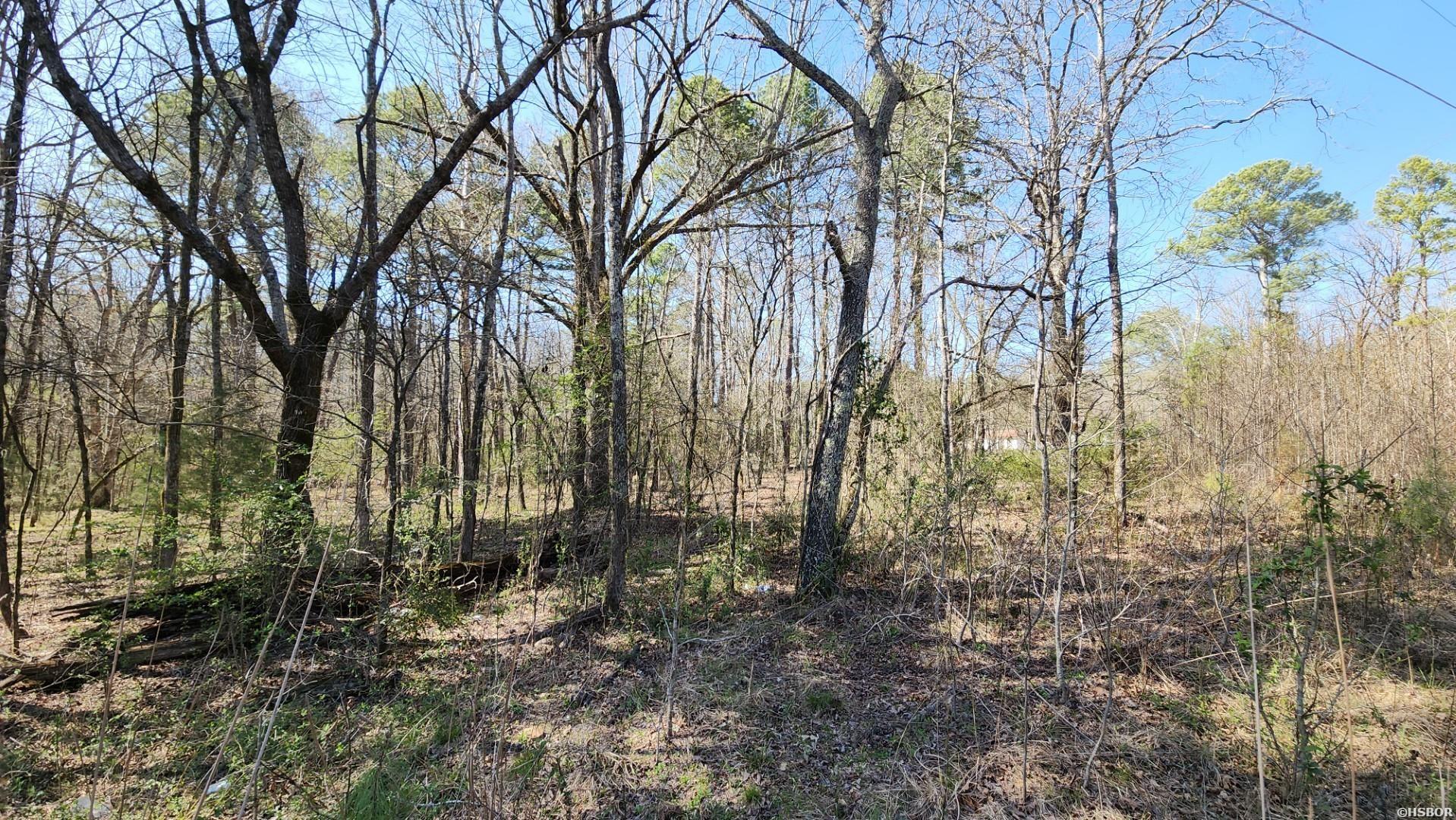 000 N Hwy 7 Property Photo 22